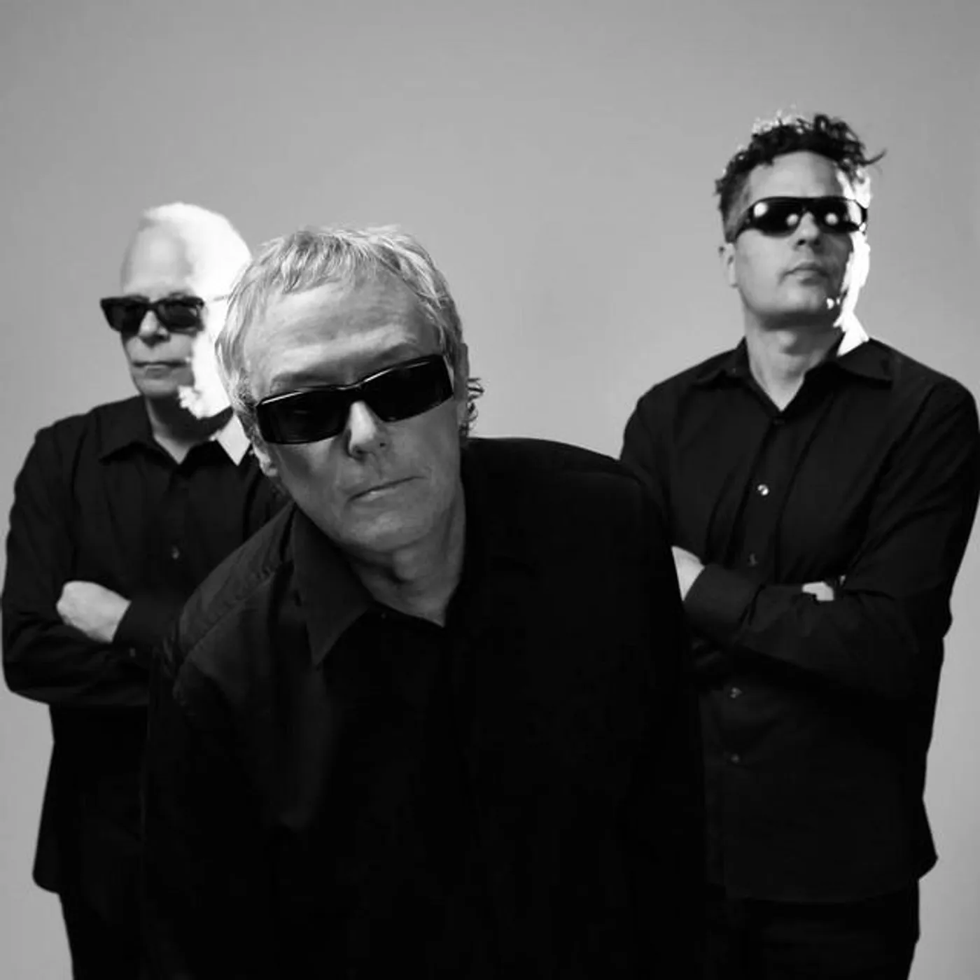 Night Crickets Brand Page