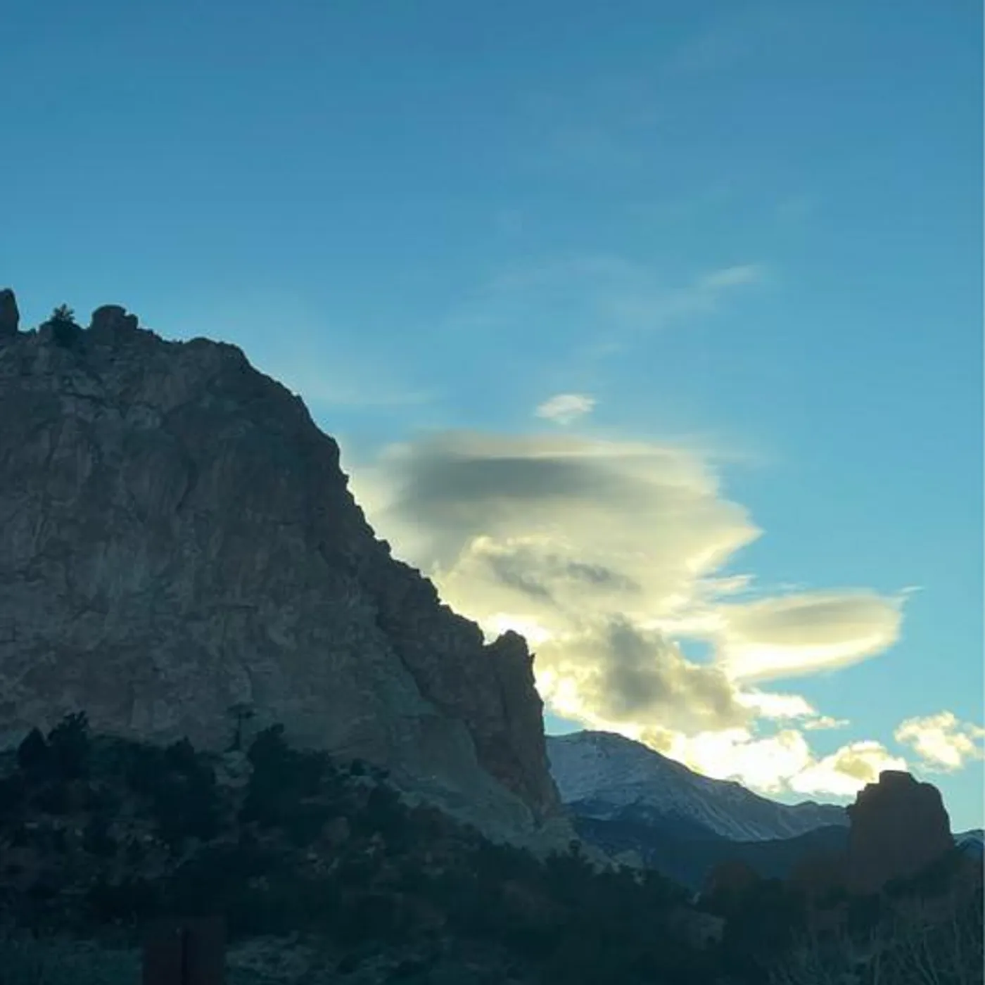 Night Beds Brand Page