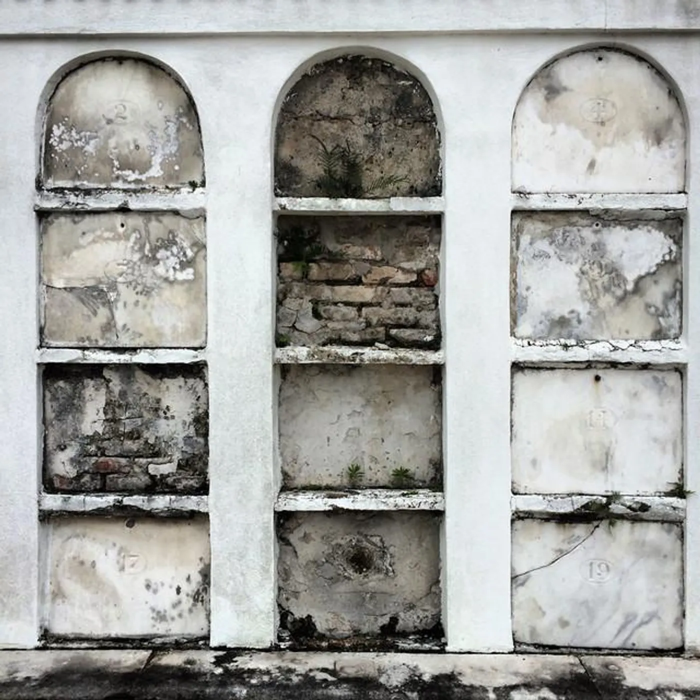 Night Slaves Brand Page