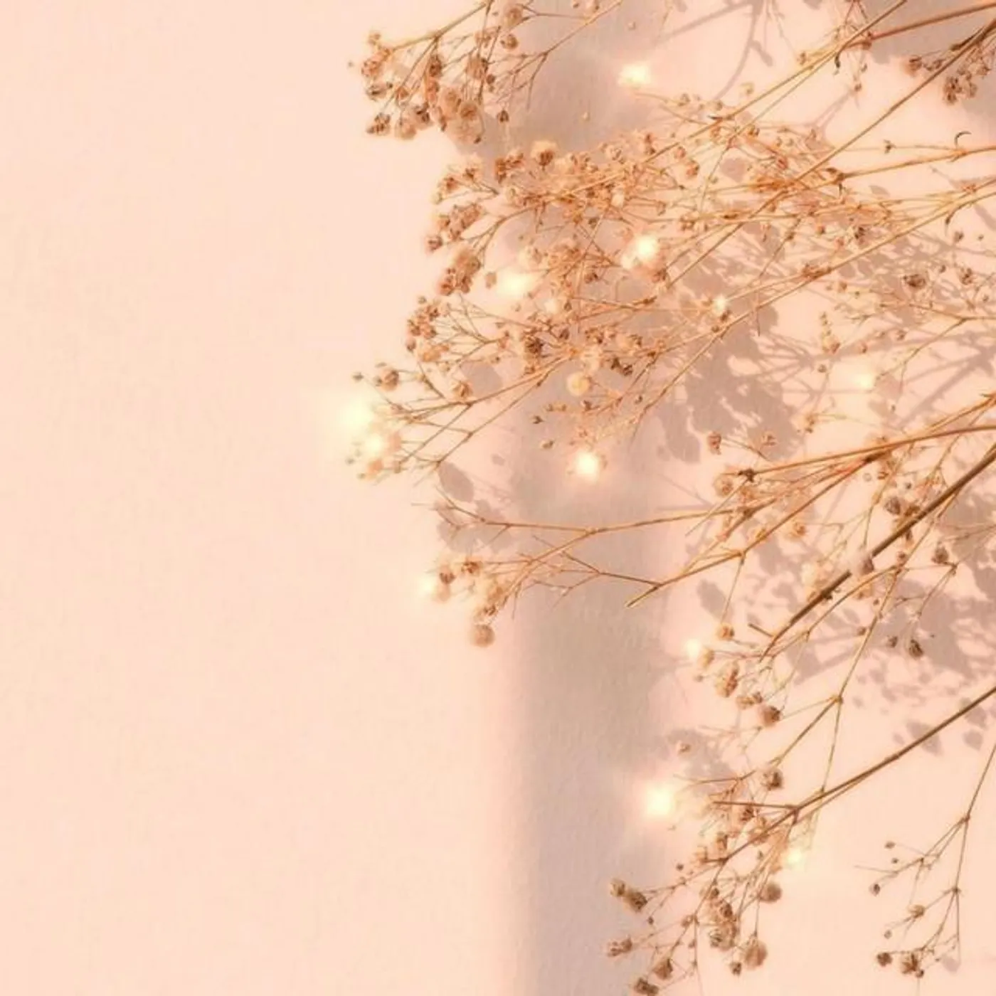 Nyle Downs Brand Page