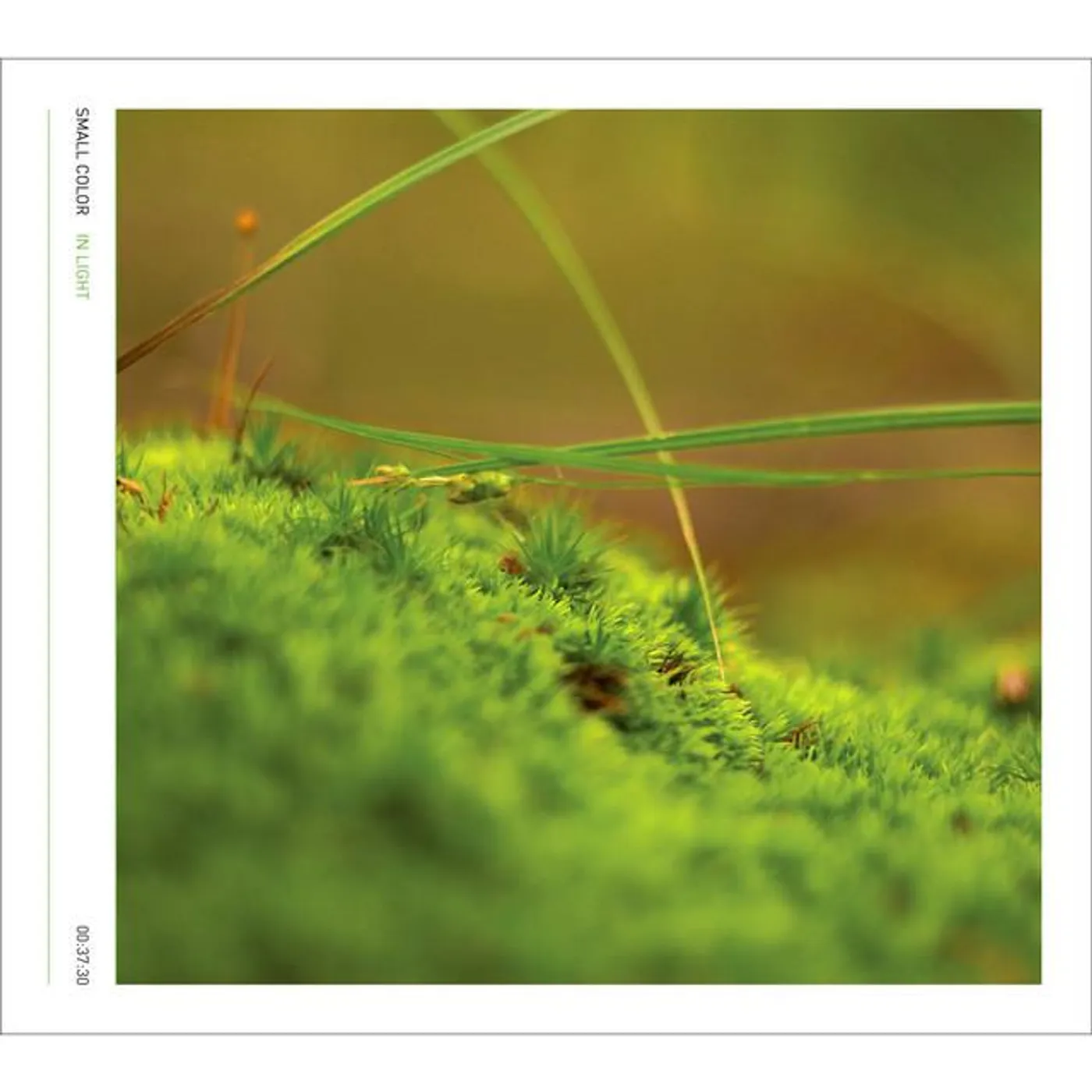 Small Color Brand Page