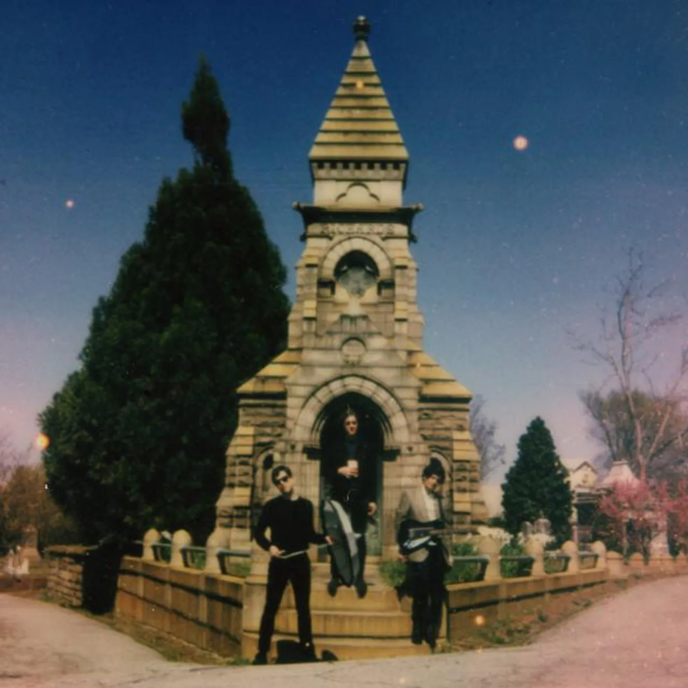 Small Reactions Brand Page