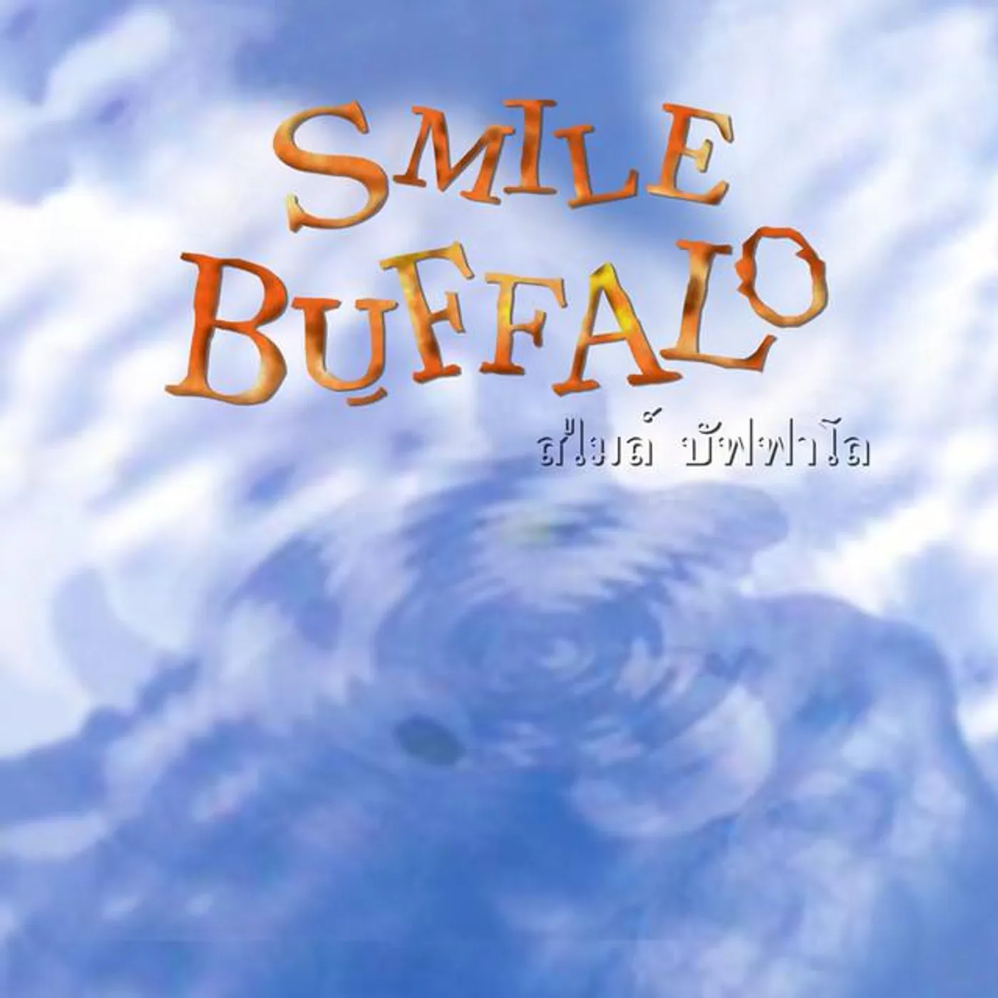 Smile Buffalo Brand Page