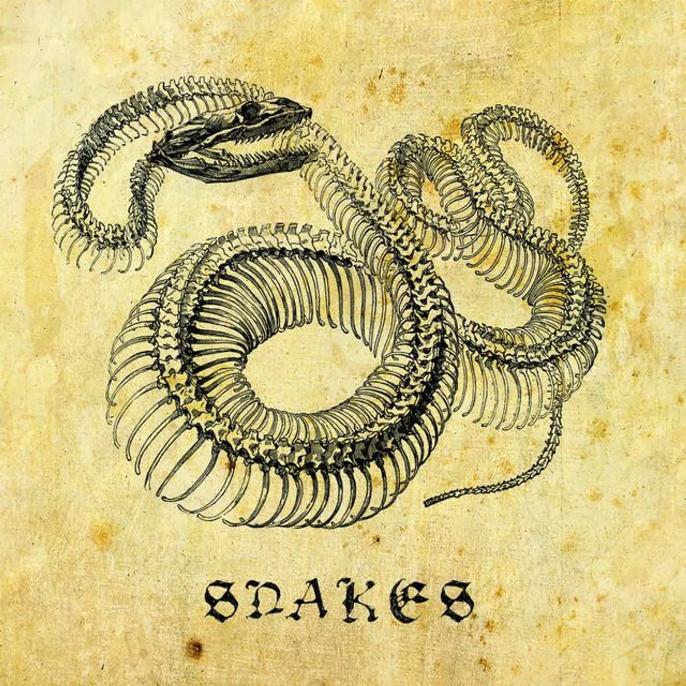 Snakes Brand Page
