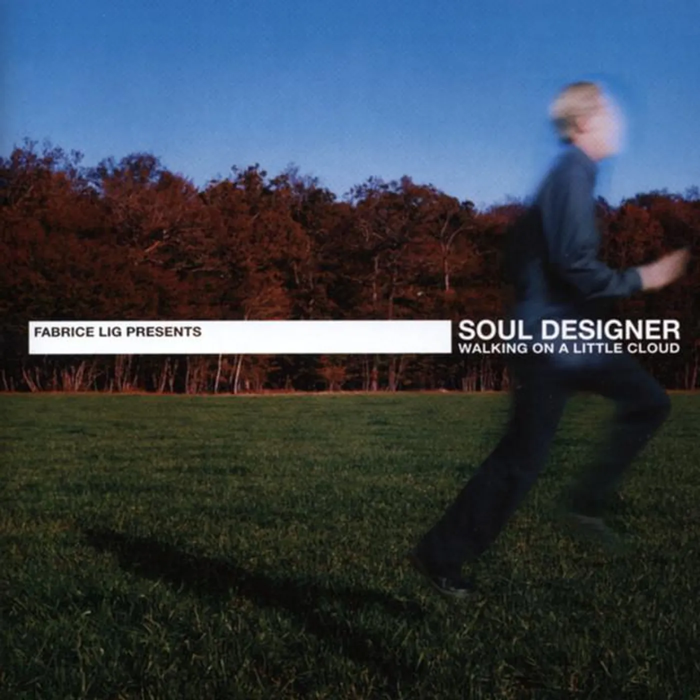 Soul Designer