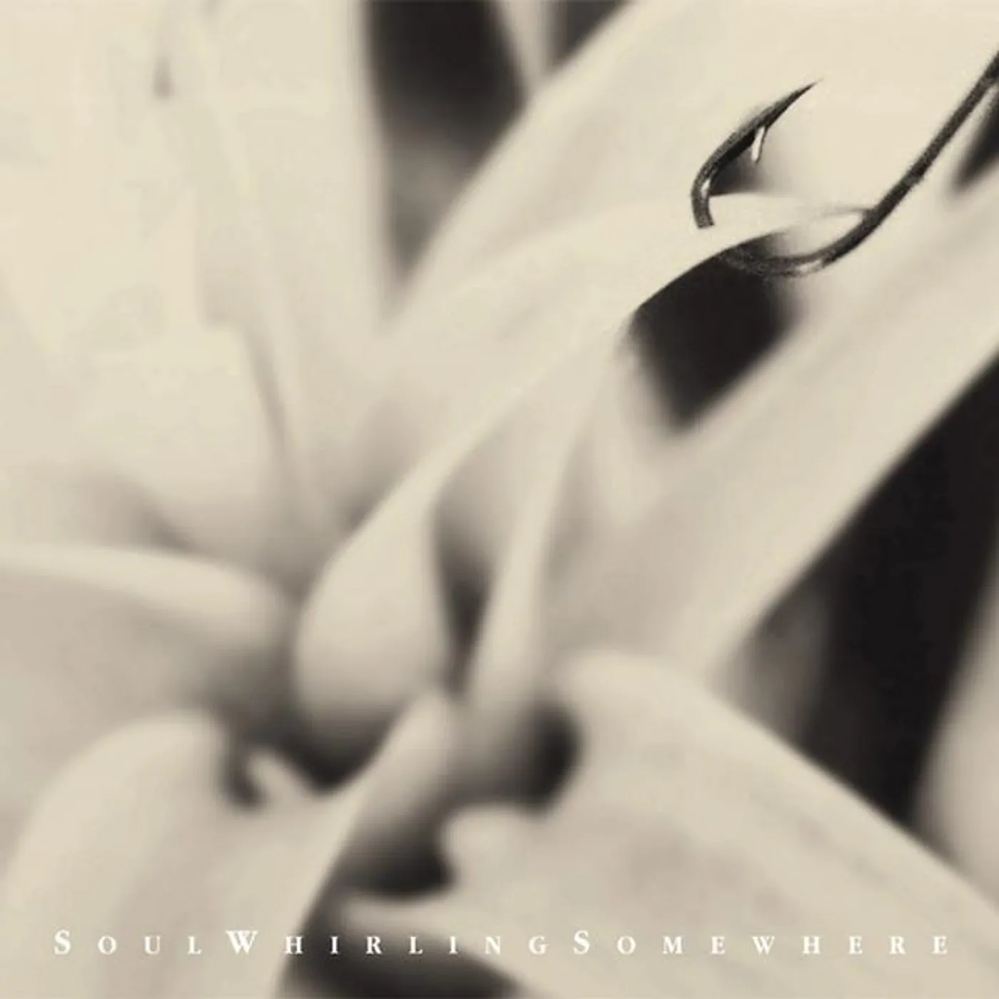 Soulwhirlingsomewhere