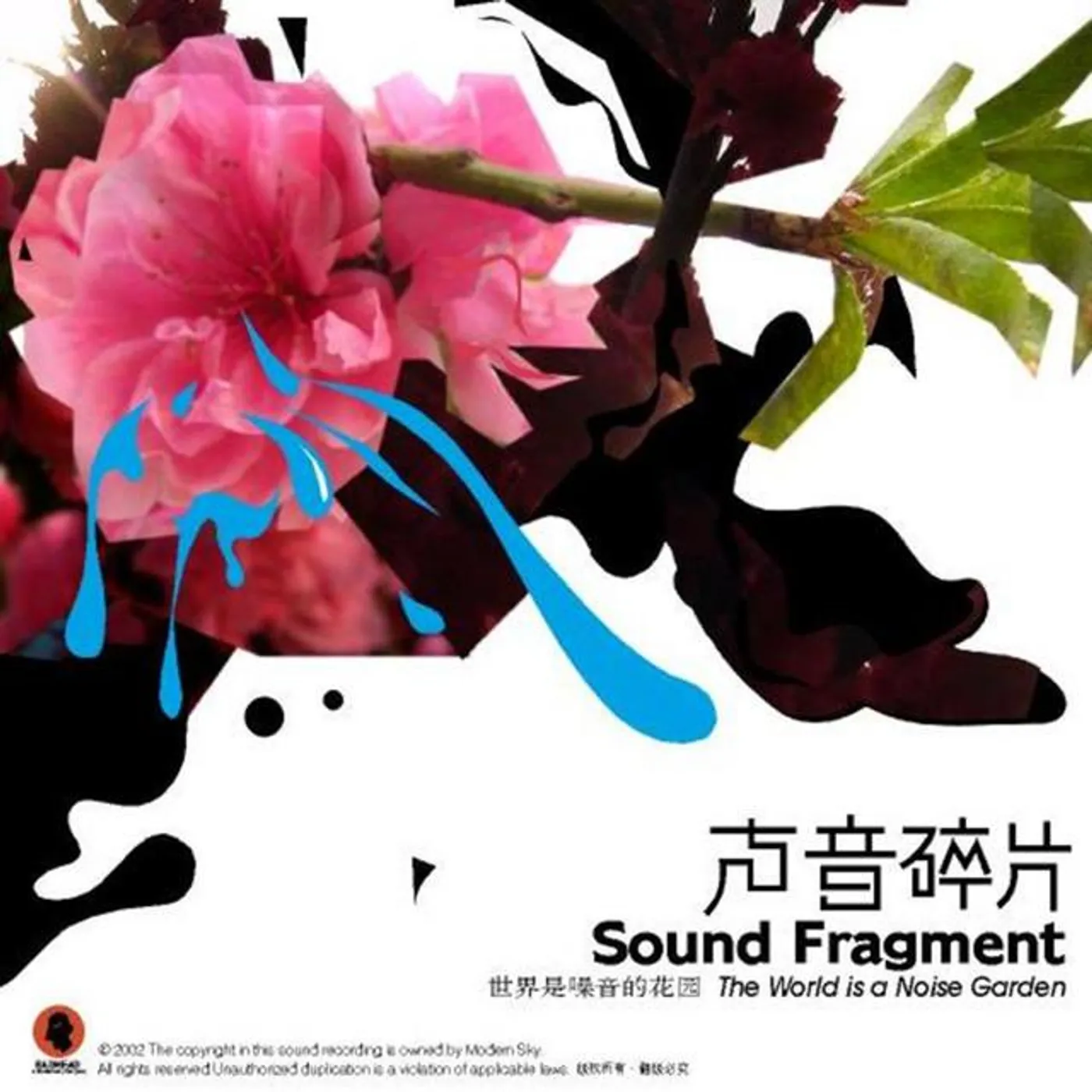 Sound Fragment