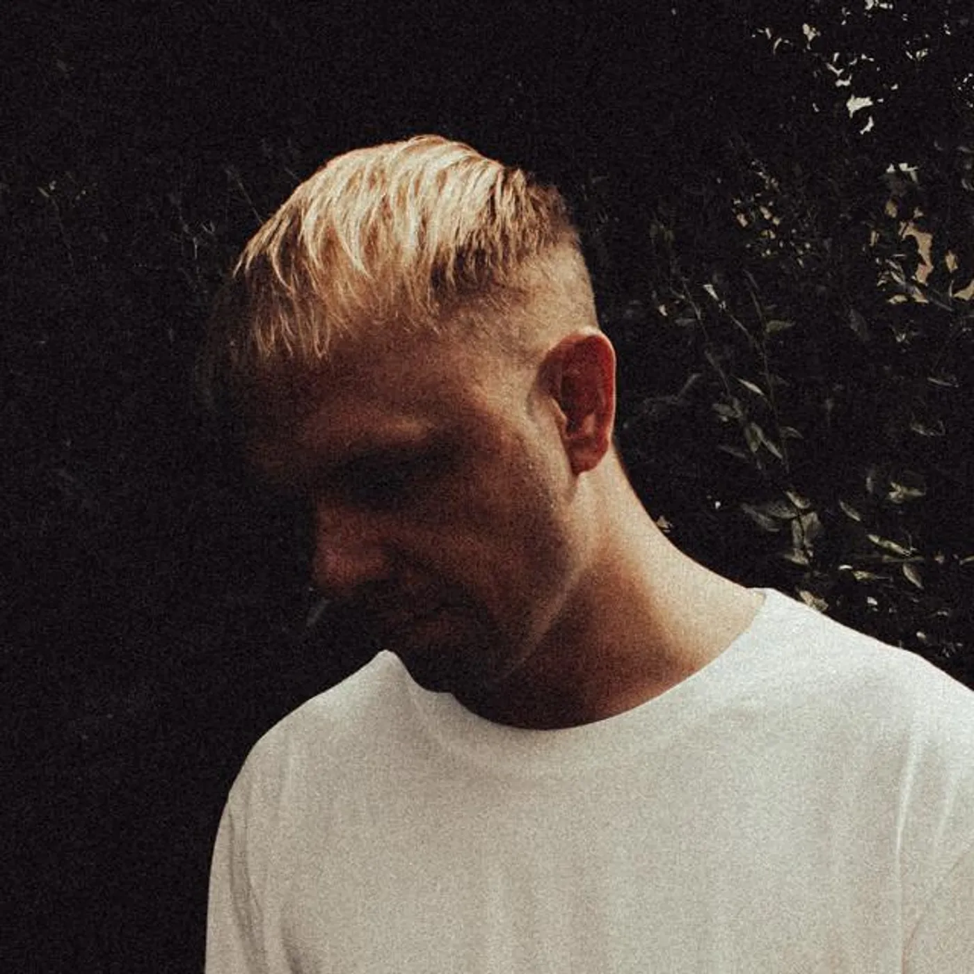 Sound In Noise Brand Page