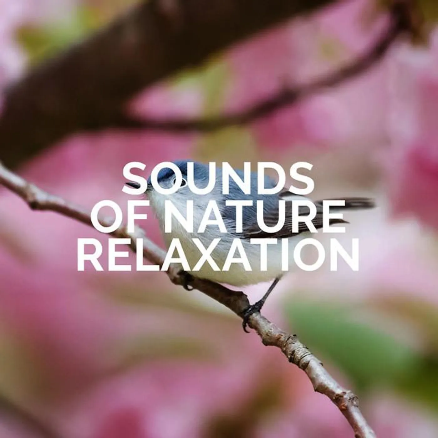 Sounds of Nature Relaxation Brand Page