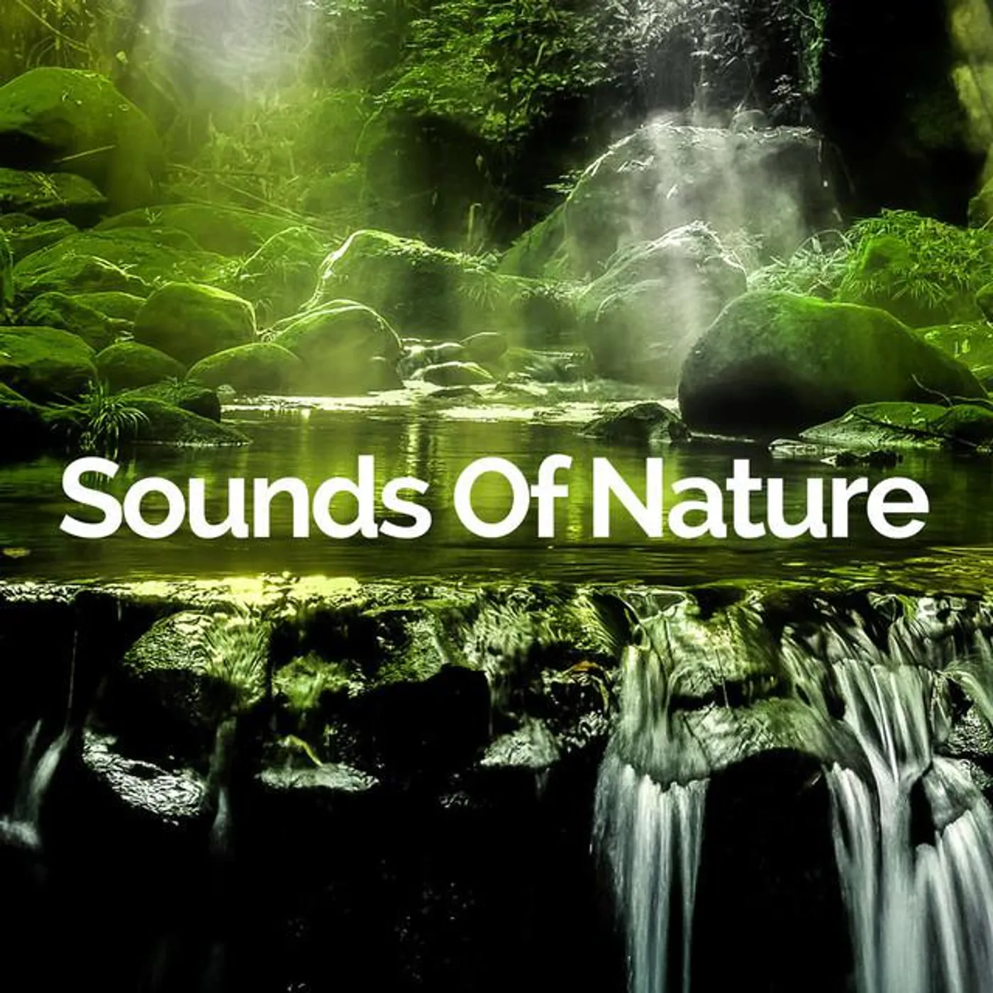 Sounds Of Nature Brand Page