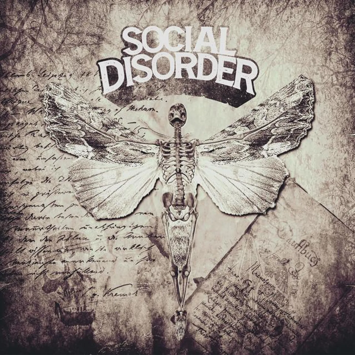 Social Disorder Brand Page