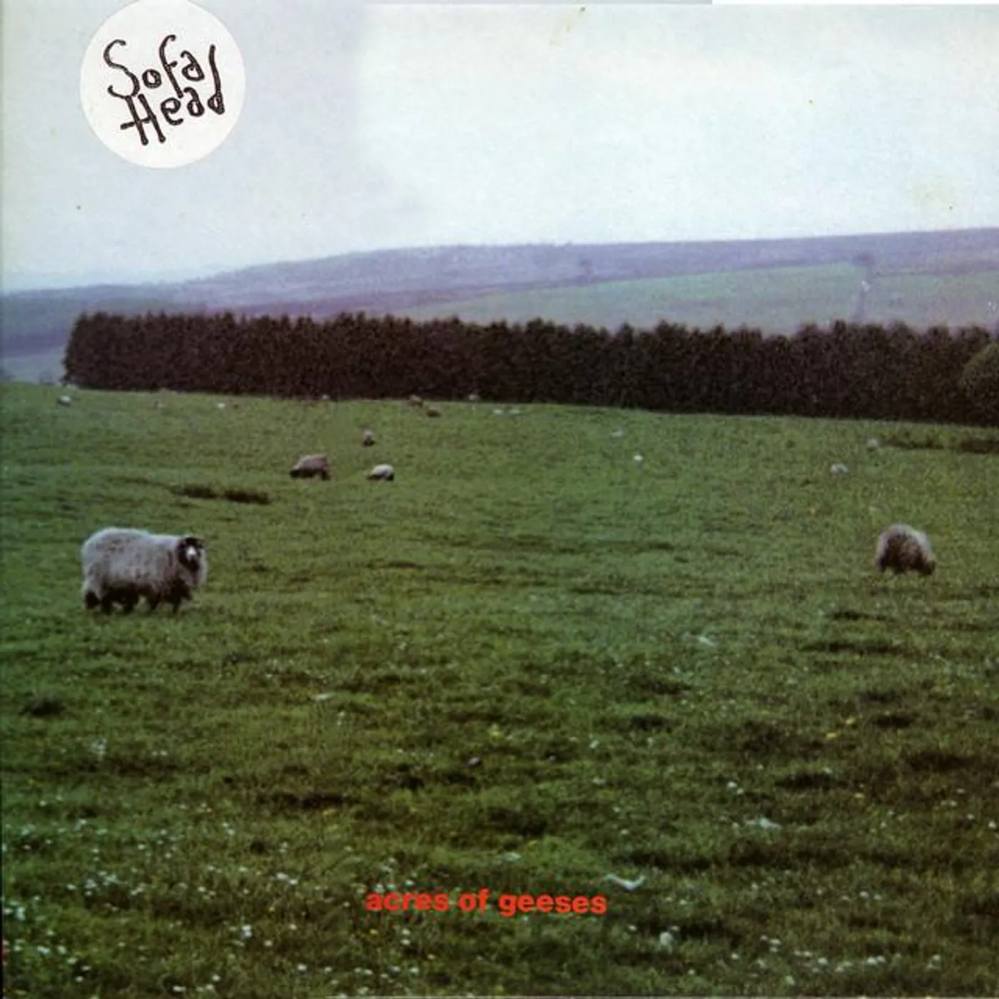 Sofa Head Brand Page