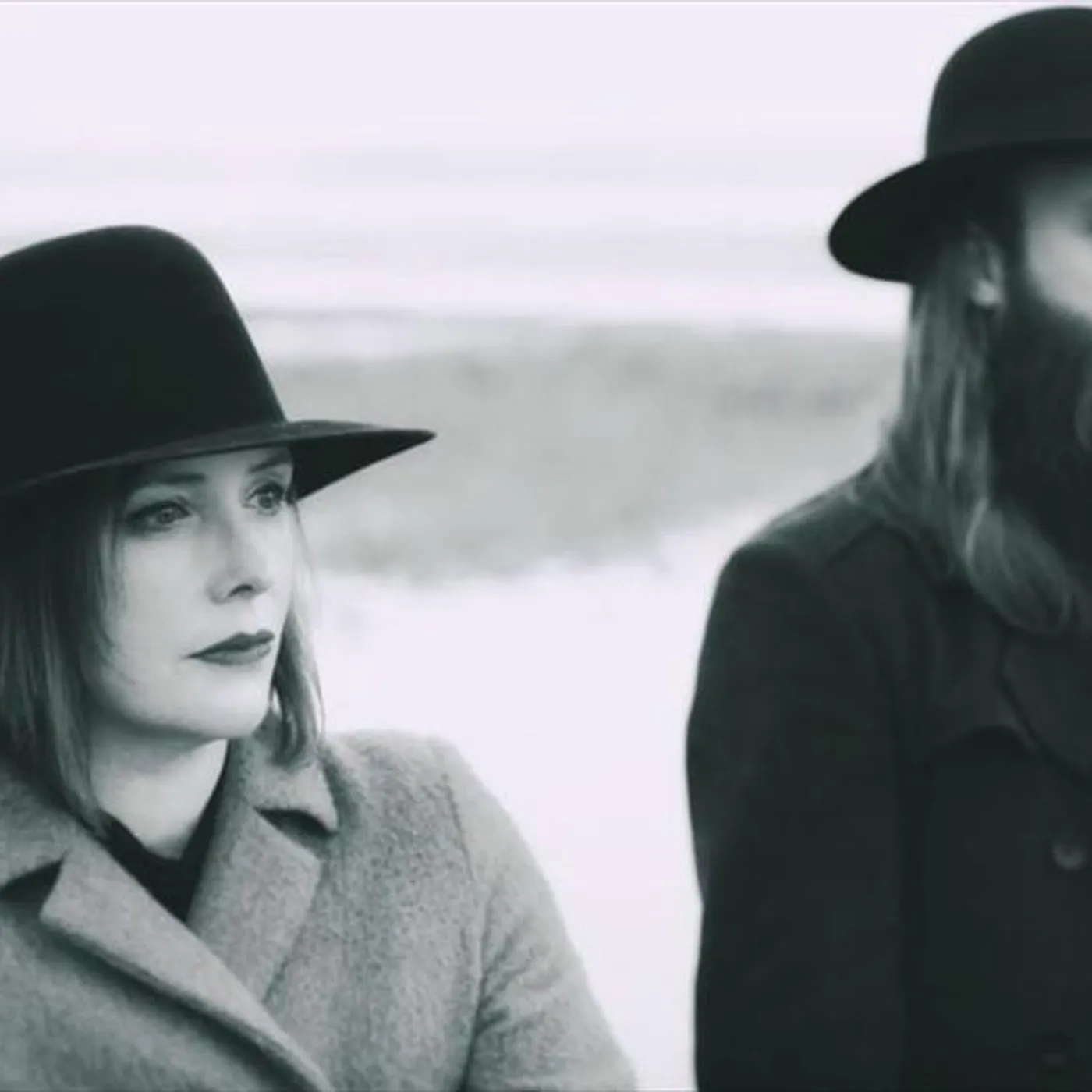 The Soft Cavalry Brand Page