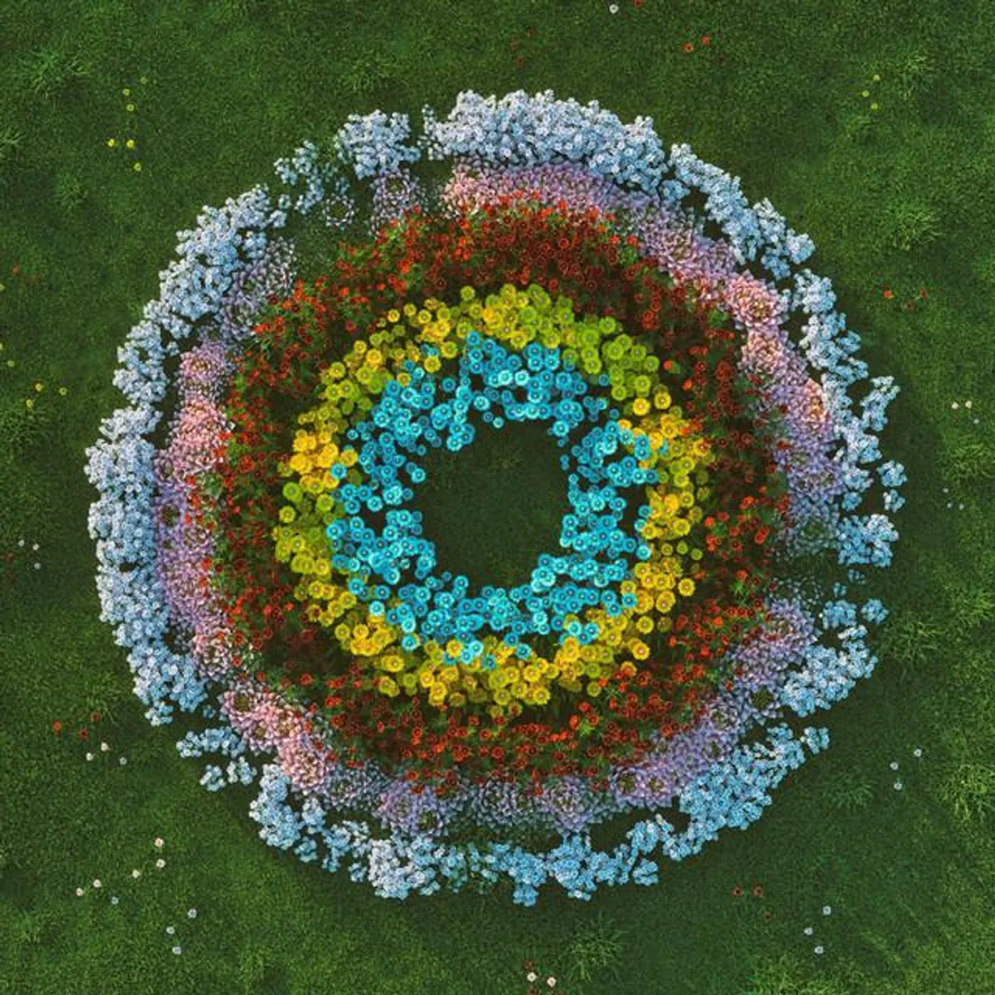 Soft Focus Brand Page