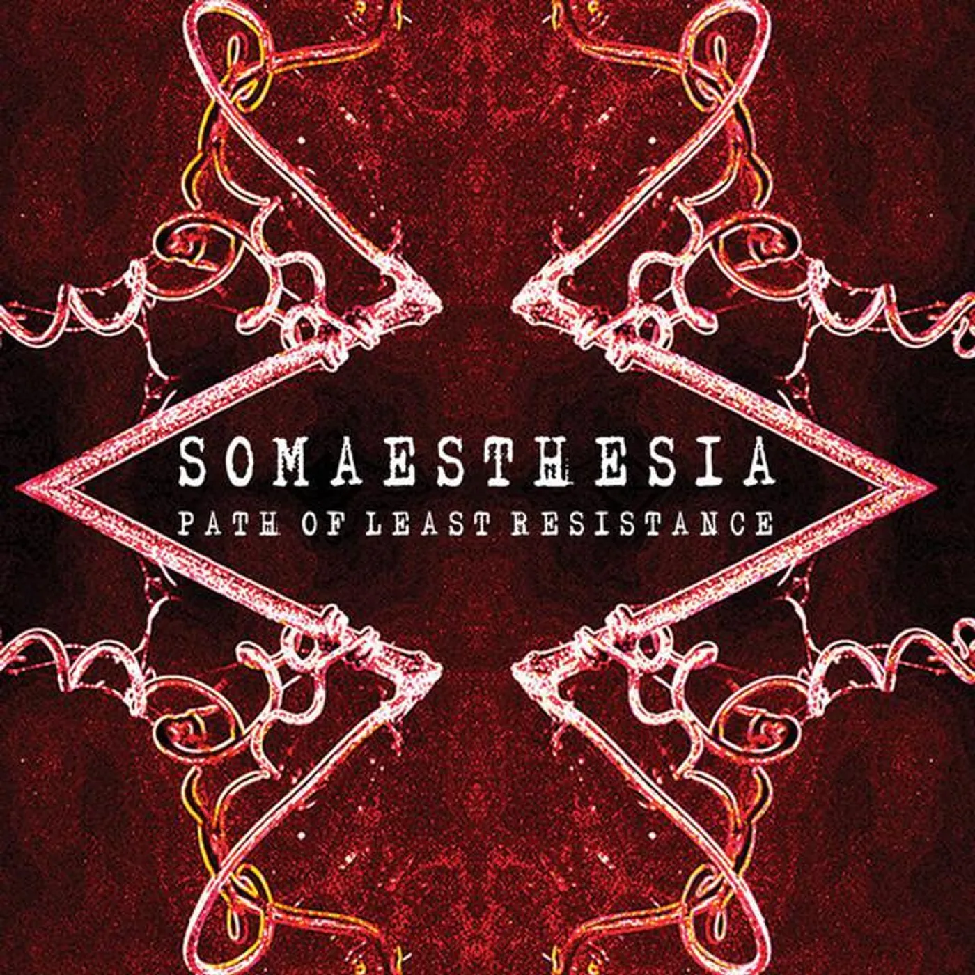 Somaesthesia