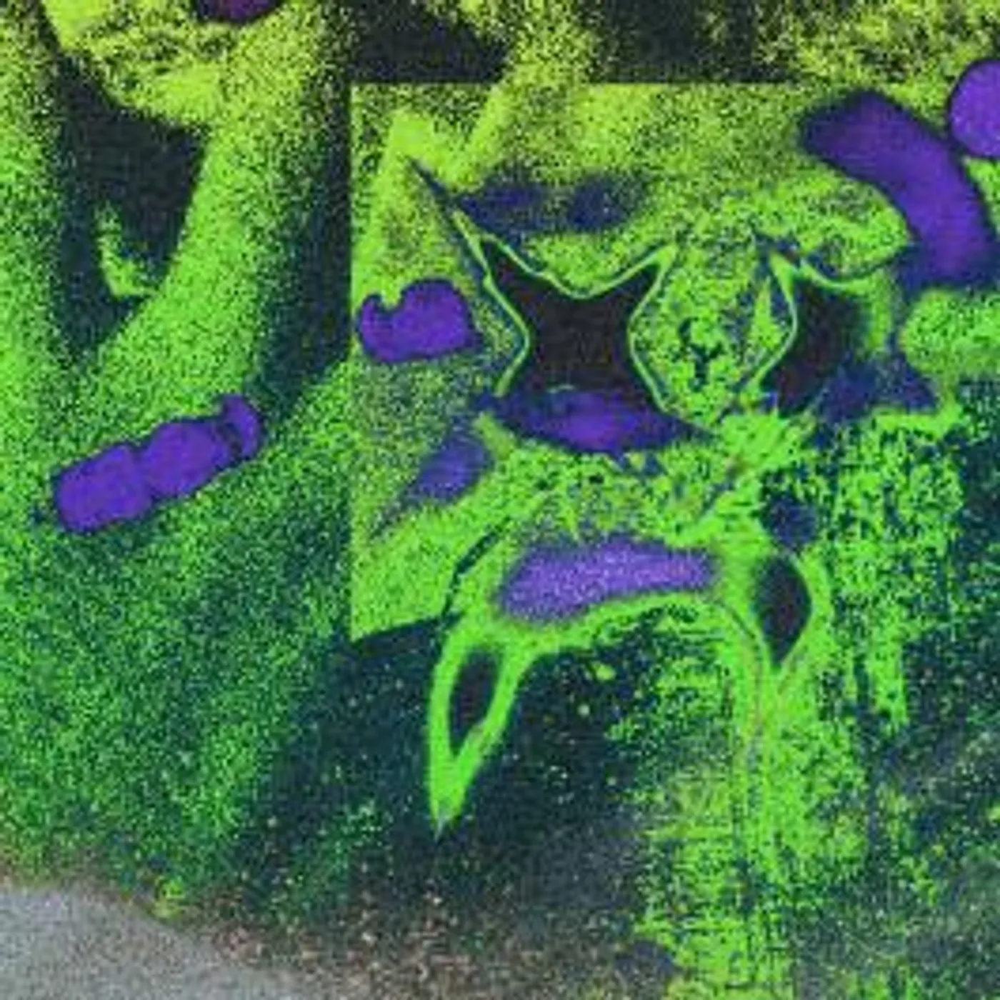 Somewhere to Call Home