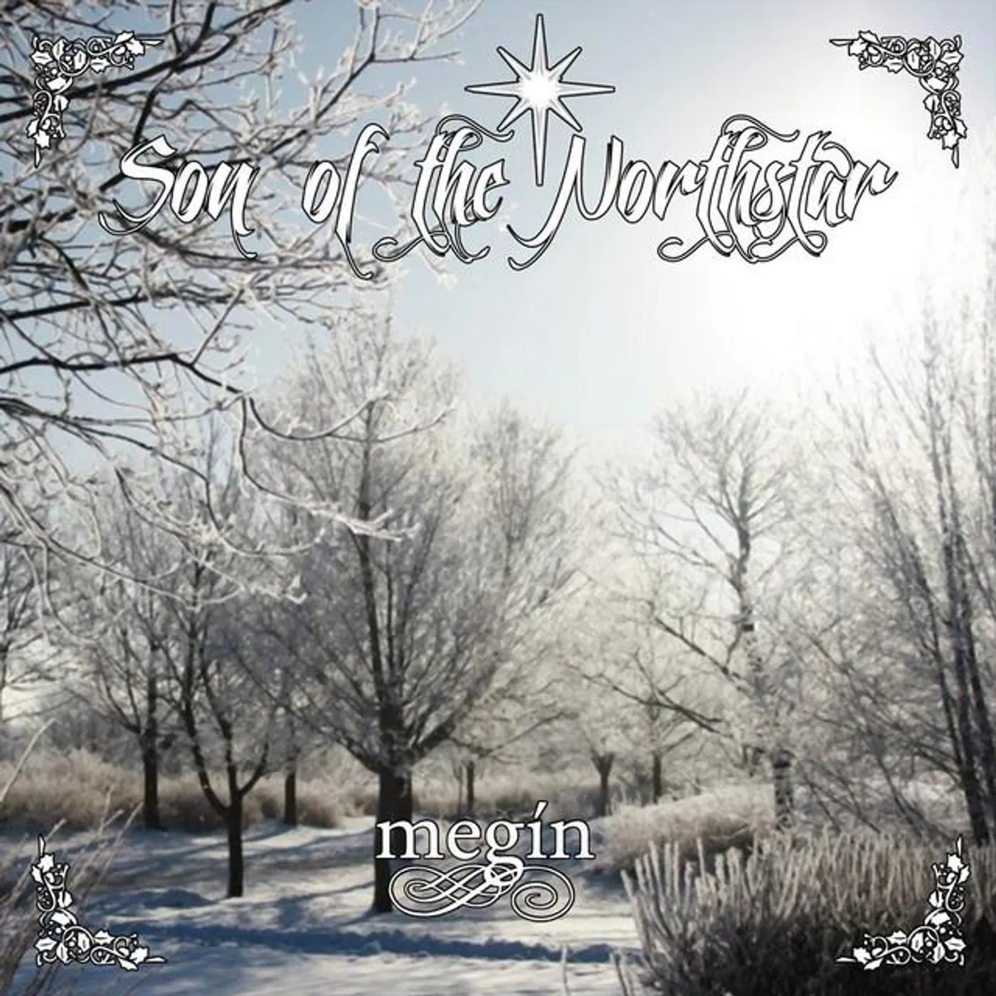 Son of the Northstar