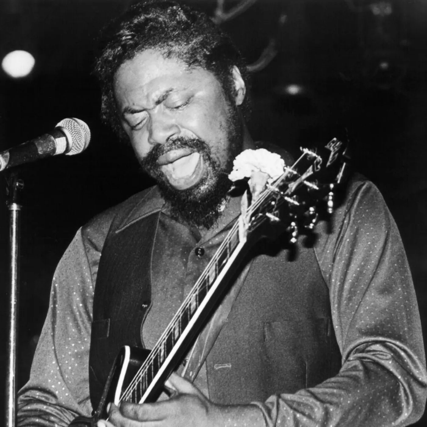 Son Seals Brand Page