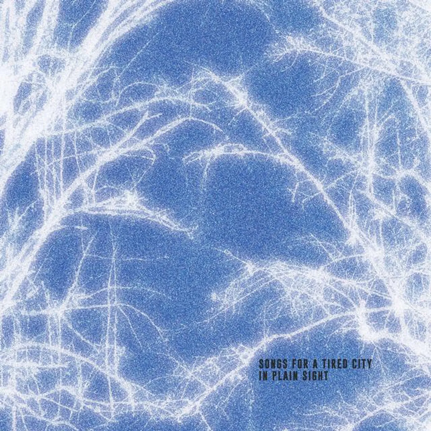 Songs for a Tired City