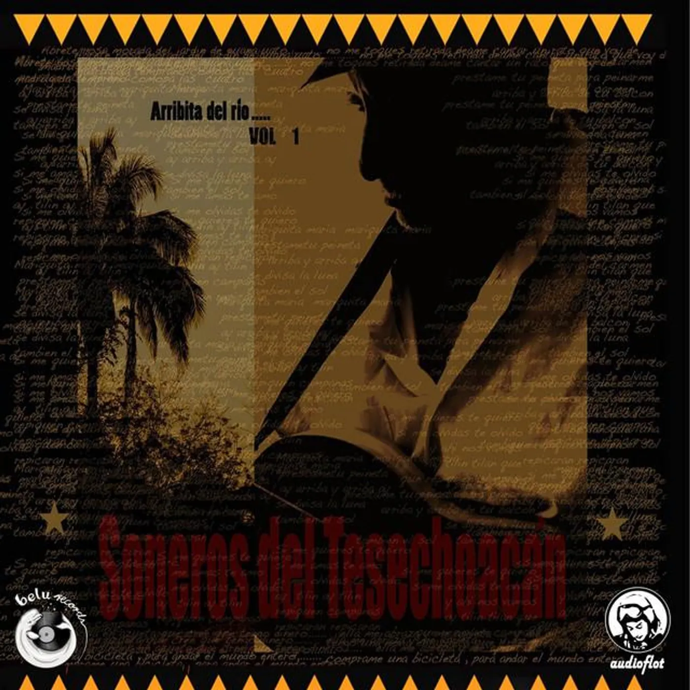 Soneros del Tesechoacán