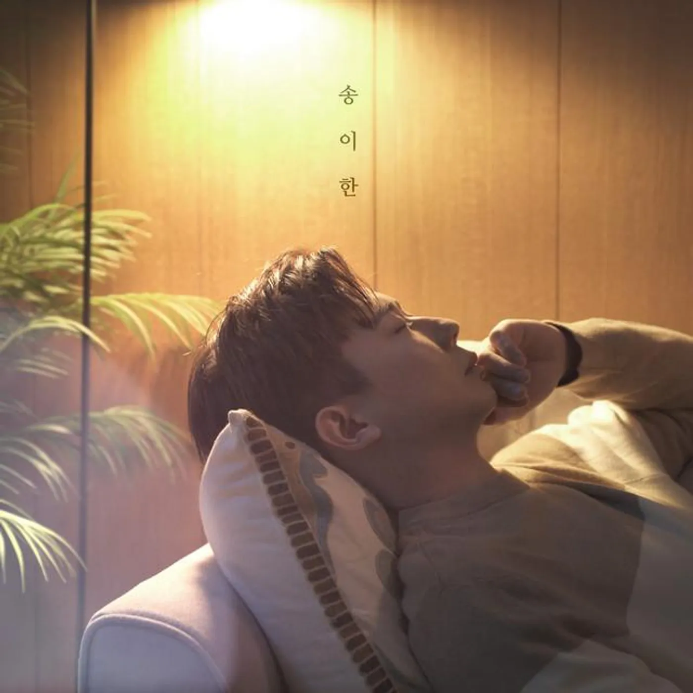 Song I Han Brand Page