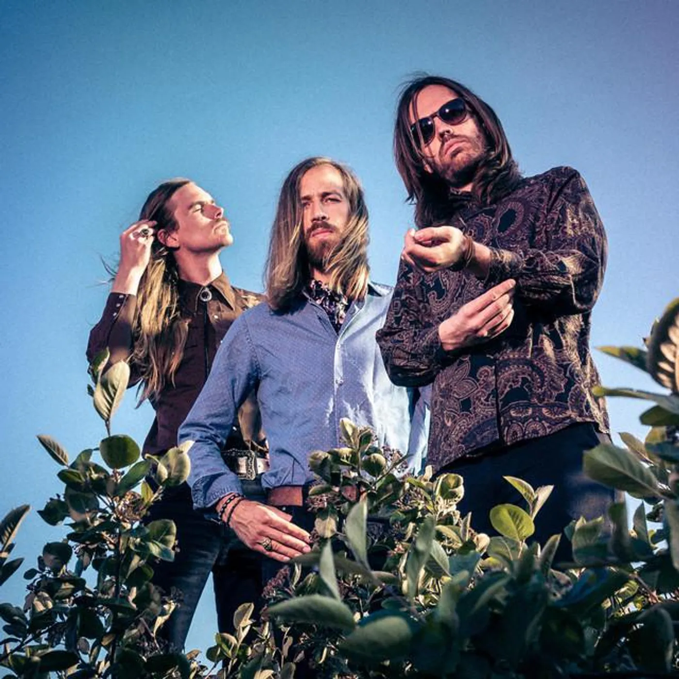 The Sonic Dawn Brand Page