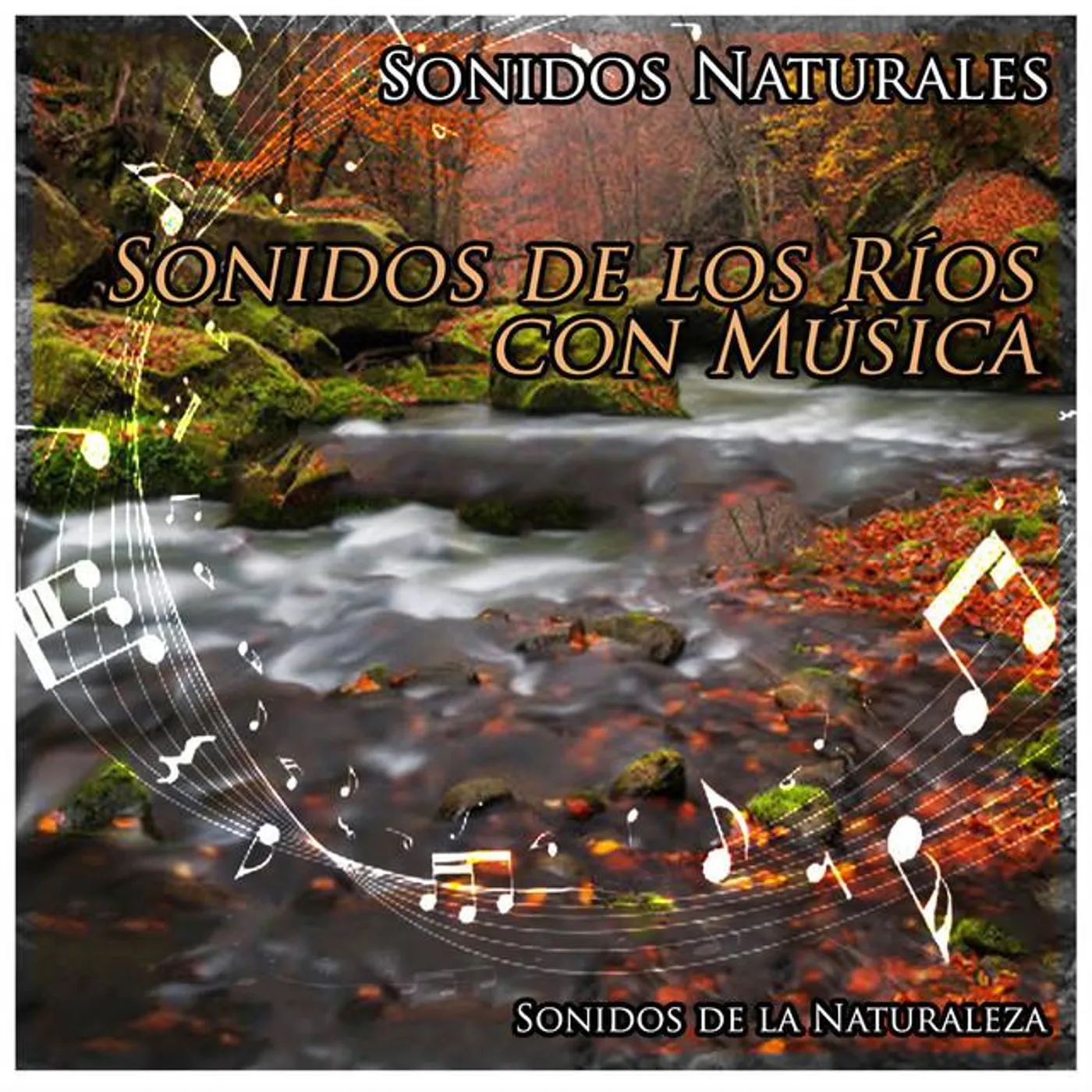 Sonidos de la Naturaleza