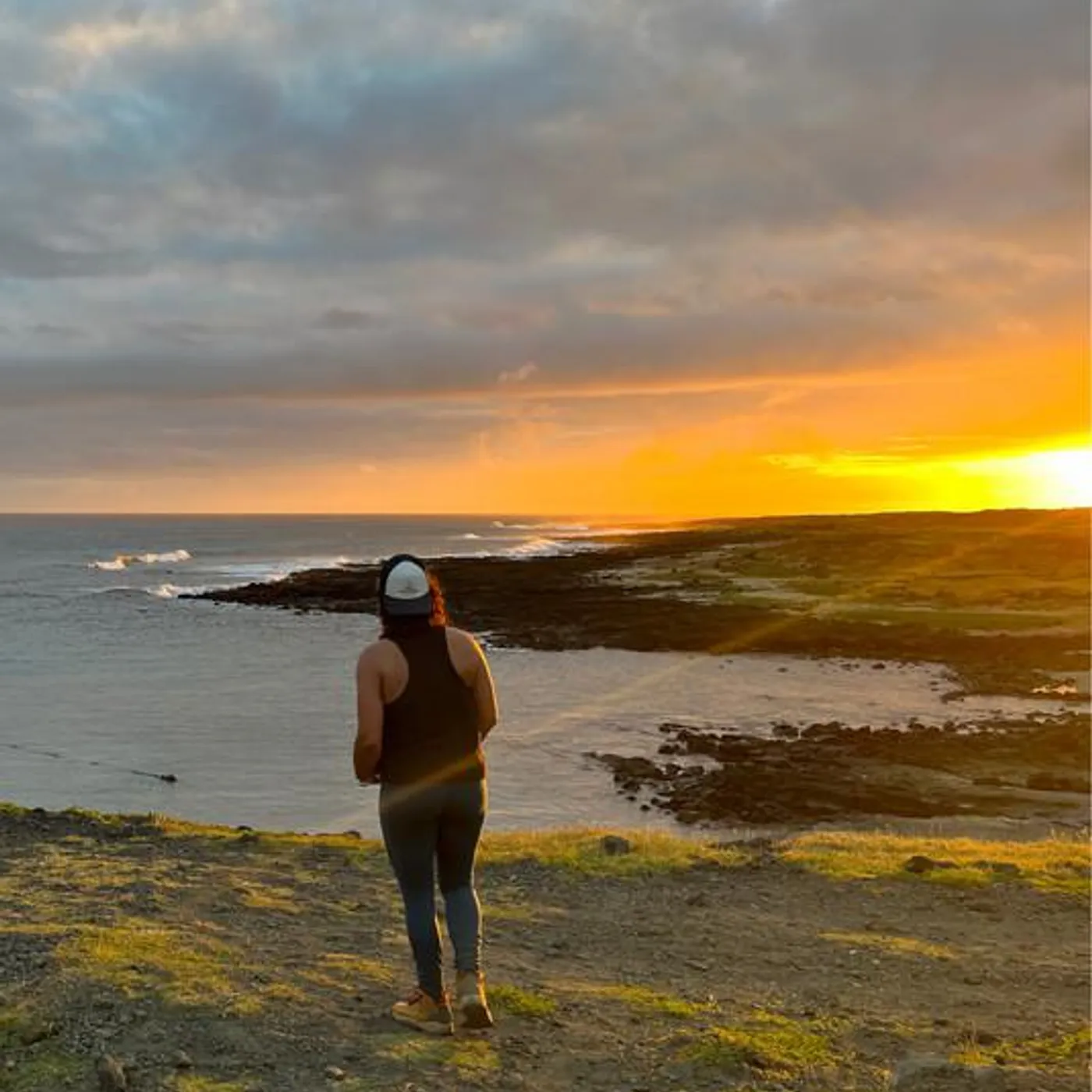 Sonni Shine Brand Page