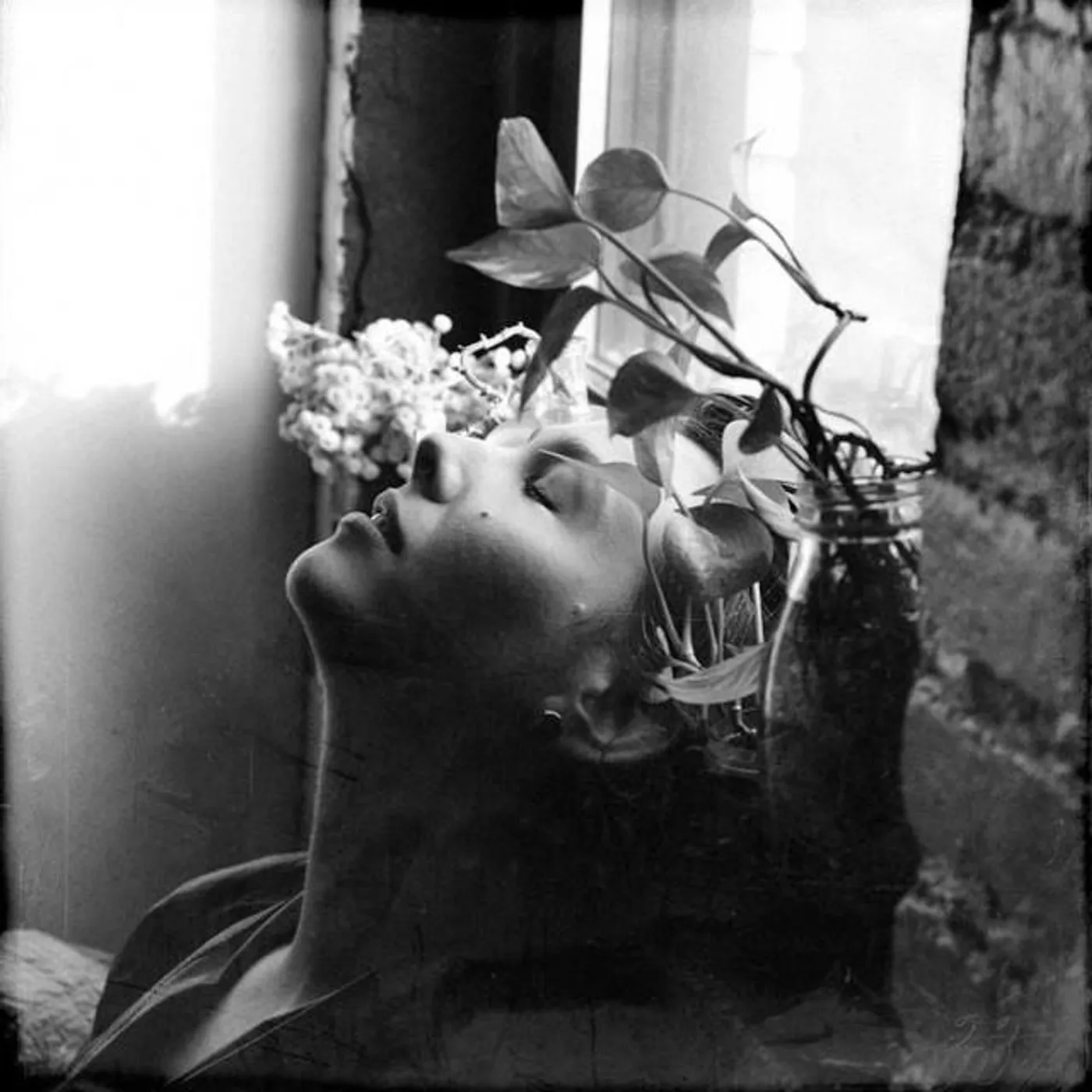 Sonya Kitchell Brand Page