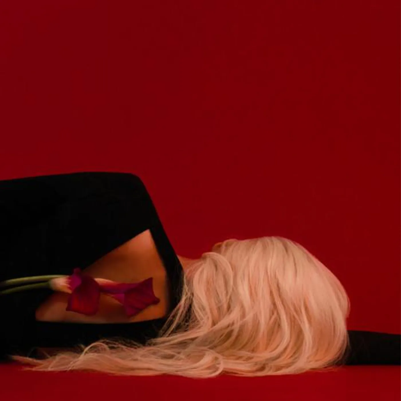 Soo-Yeony Brand Page