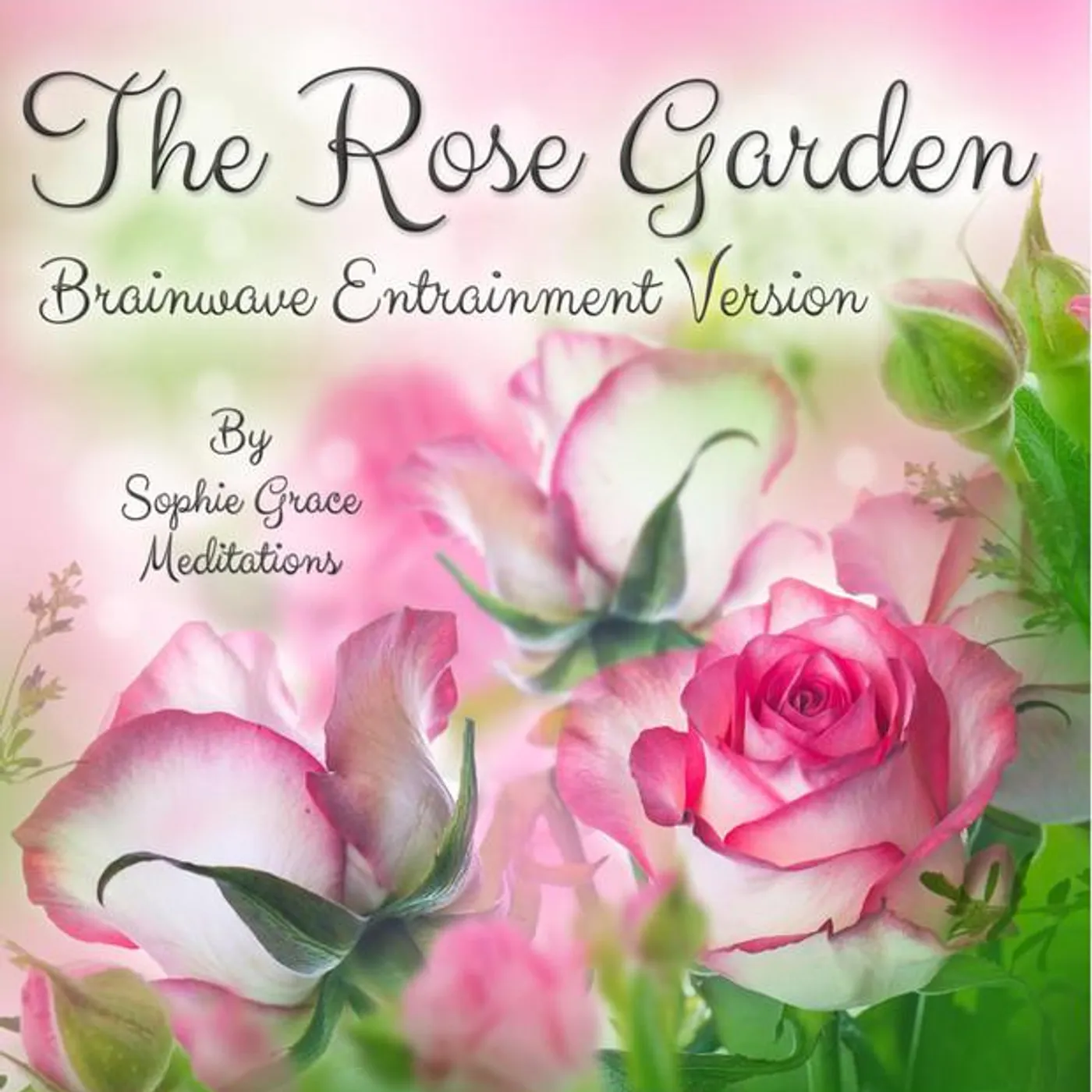 Sophie Grace Meditations Brand Page