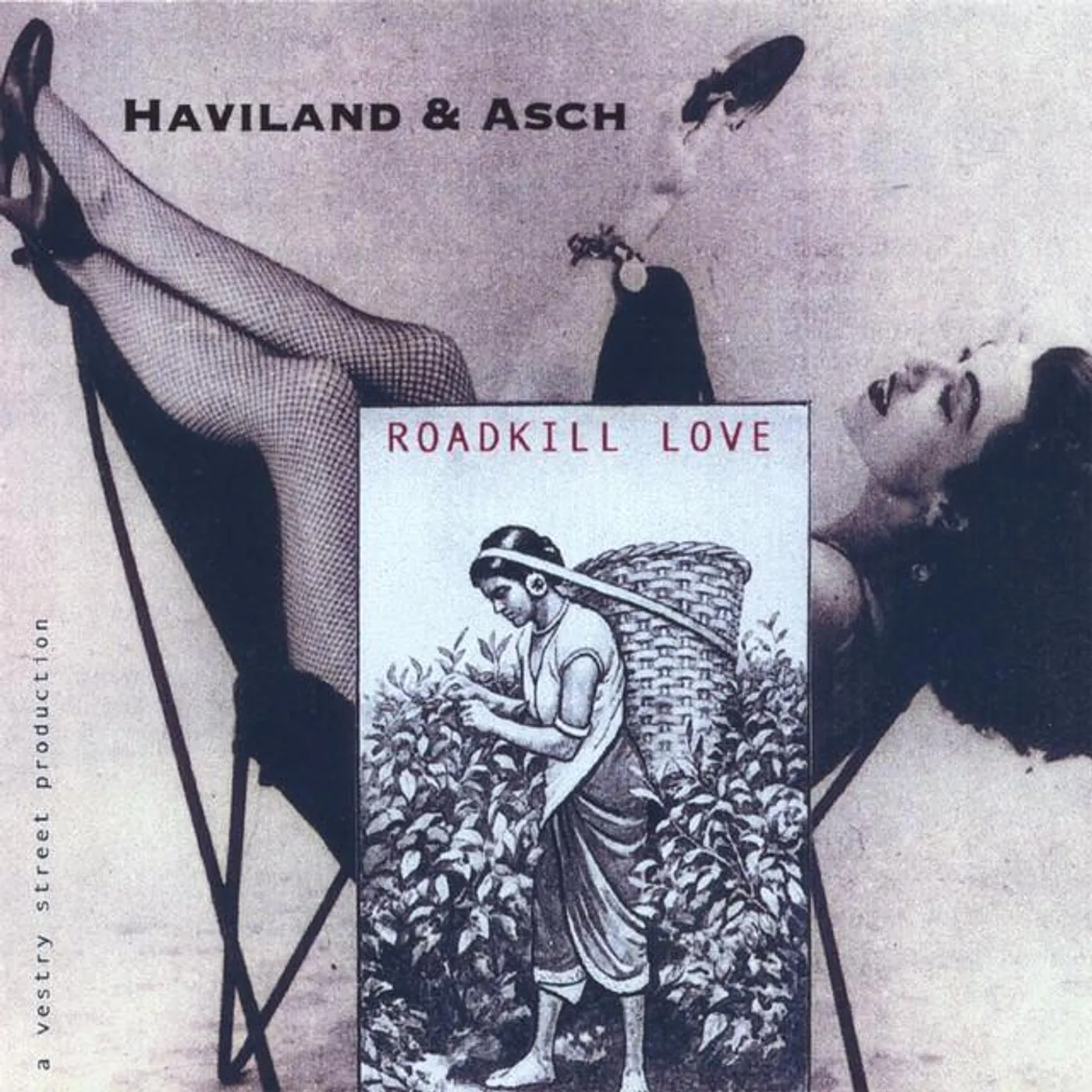 Sophie Haviland Brand Page