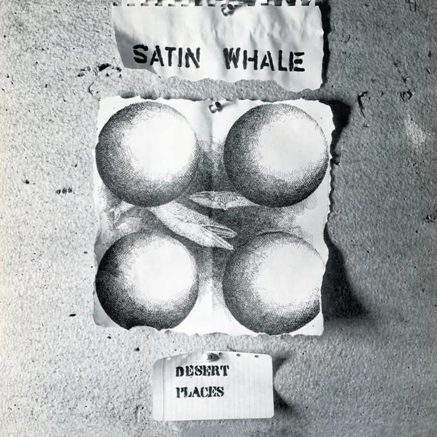 Satin Whale Brand Page
