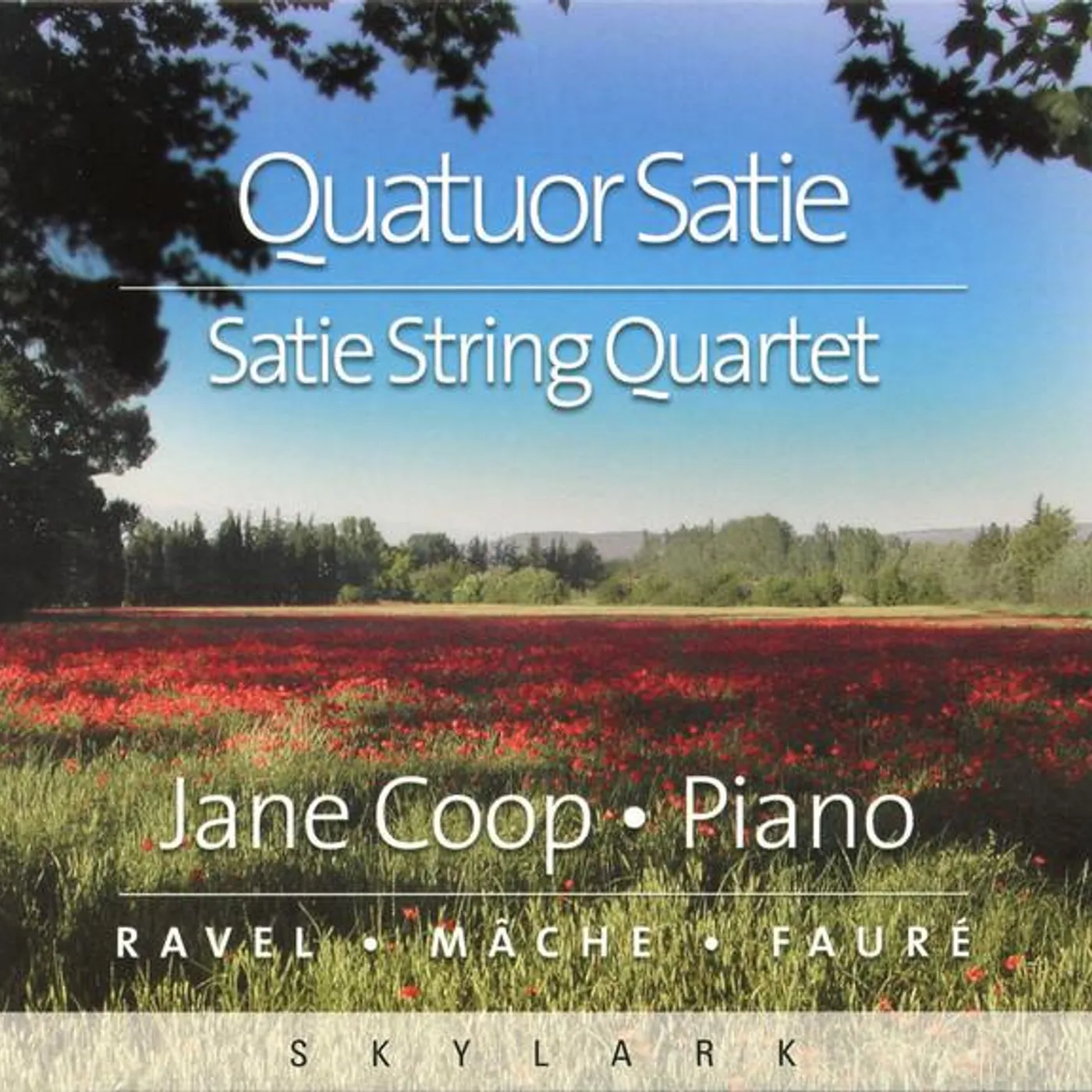 Satie String Quartet
