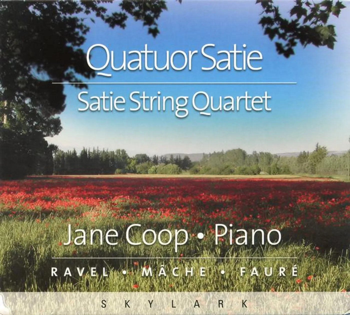 Satie String Quartet