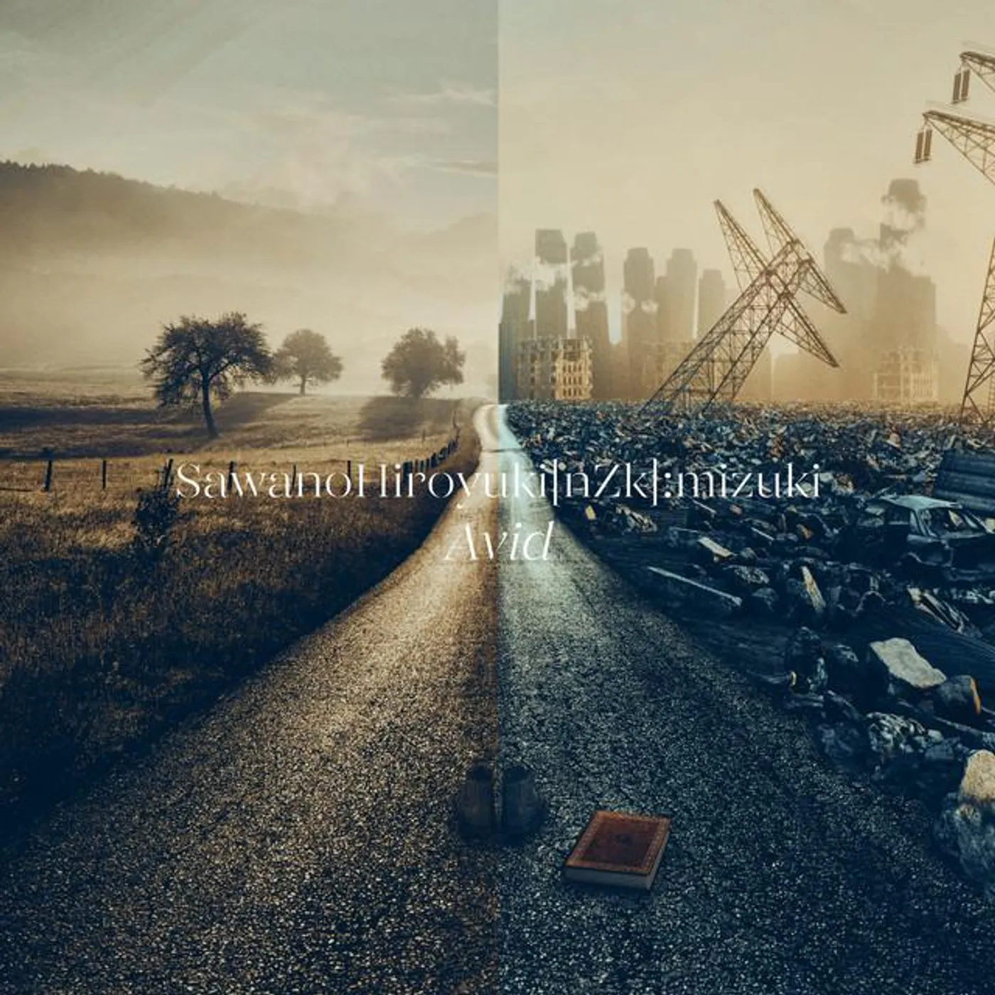 SawanoHiroyuki[nZk]:mizuki