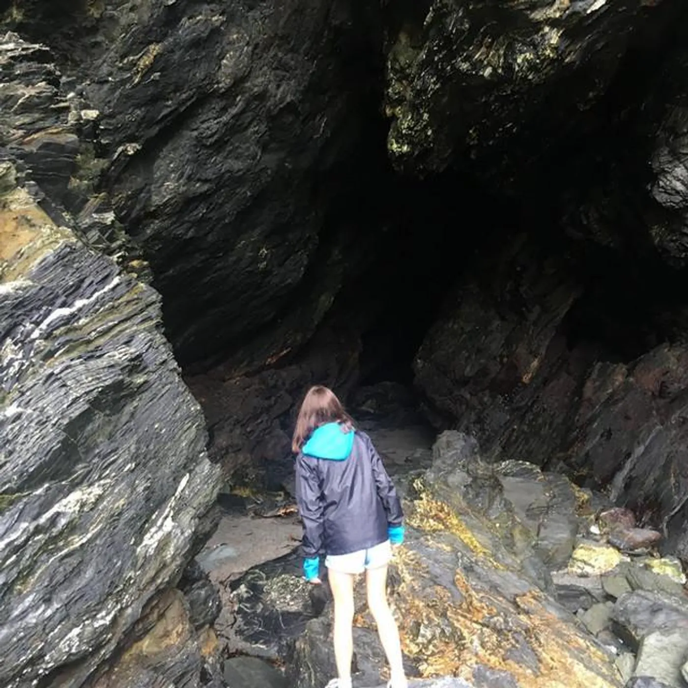 Sabrepulse Brand Page