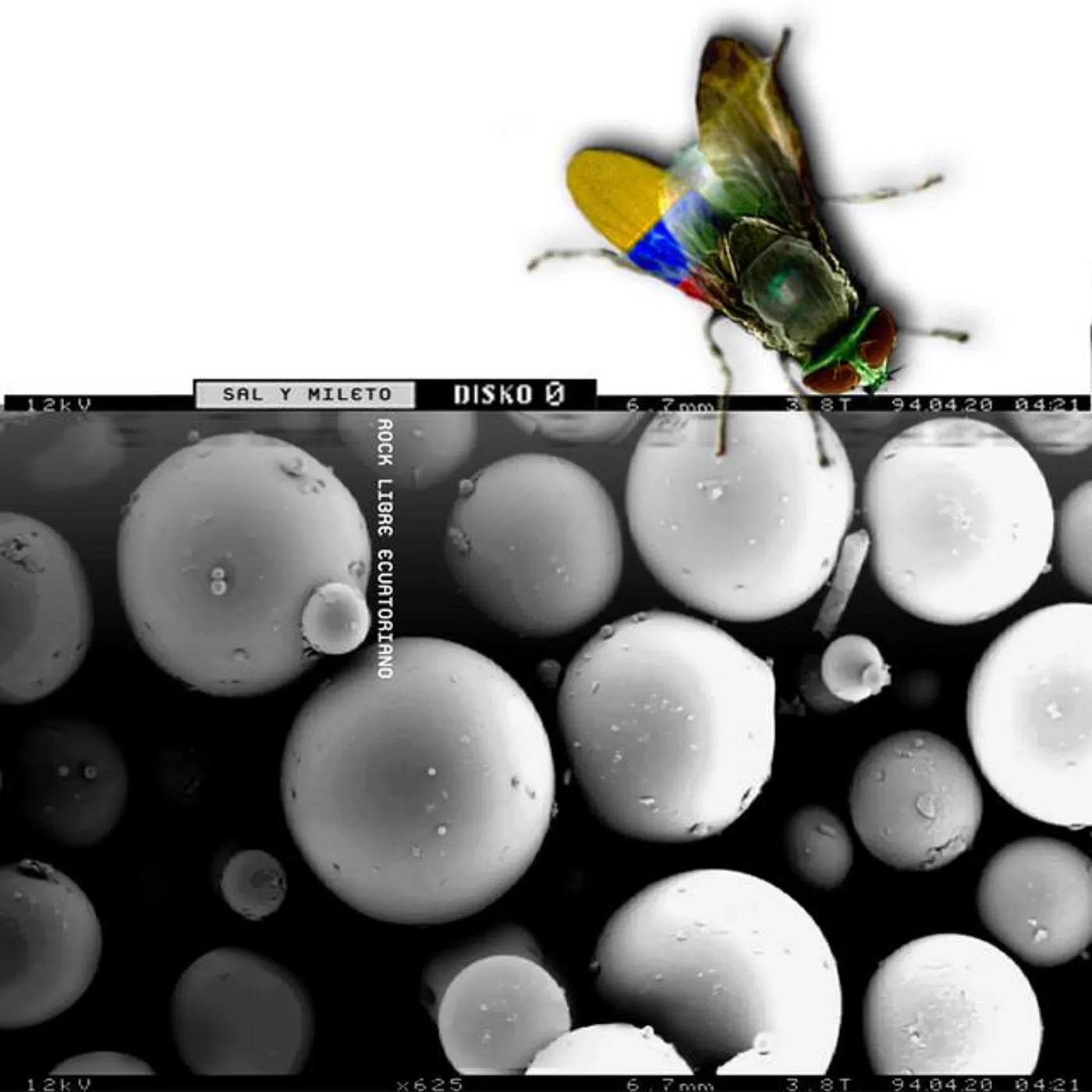Sal y Mileto Brand Page