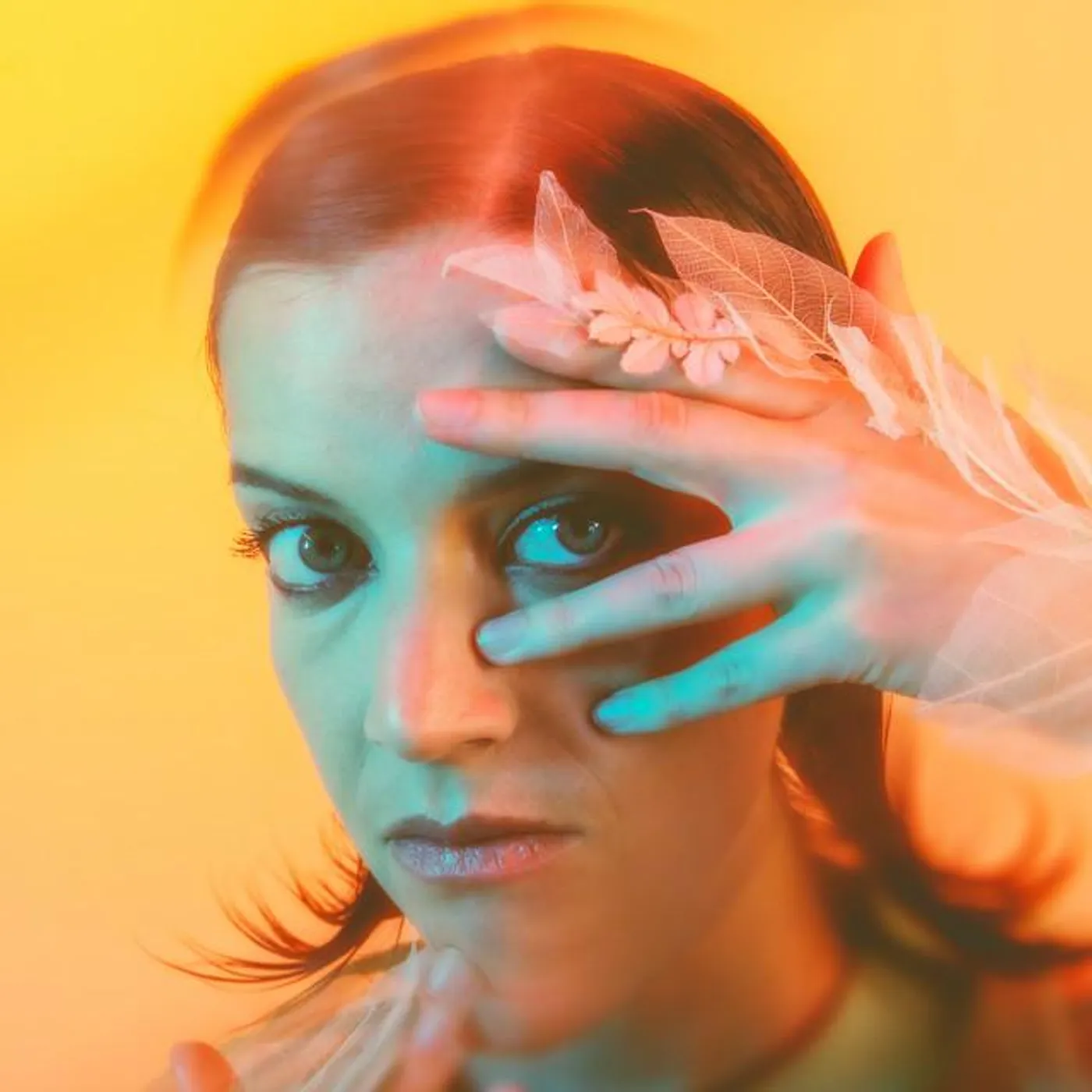 Salami Rose Joe Louis Brand Page