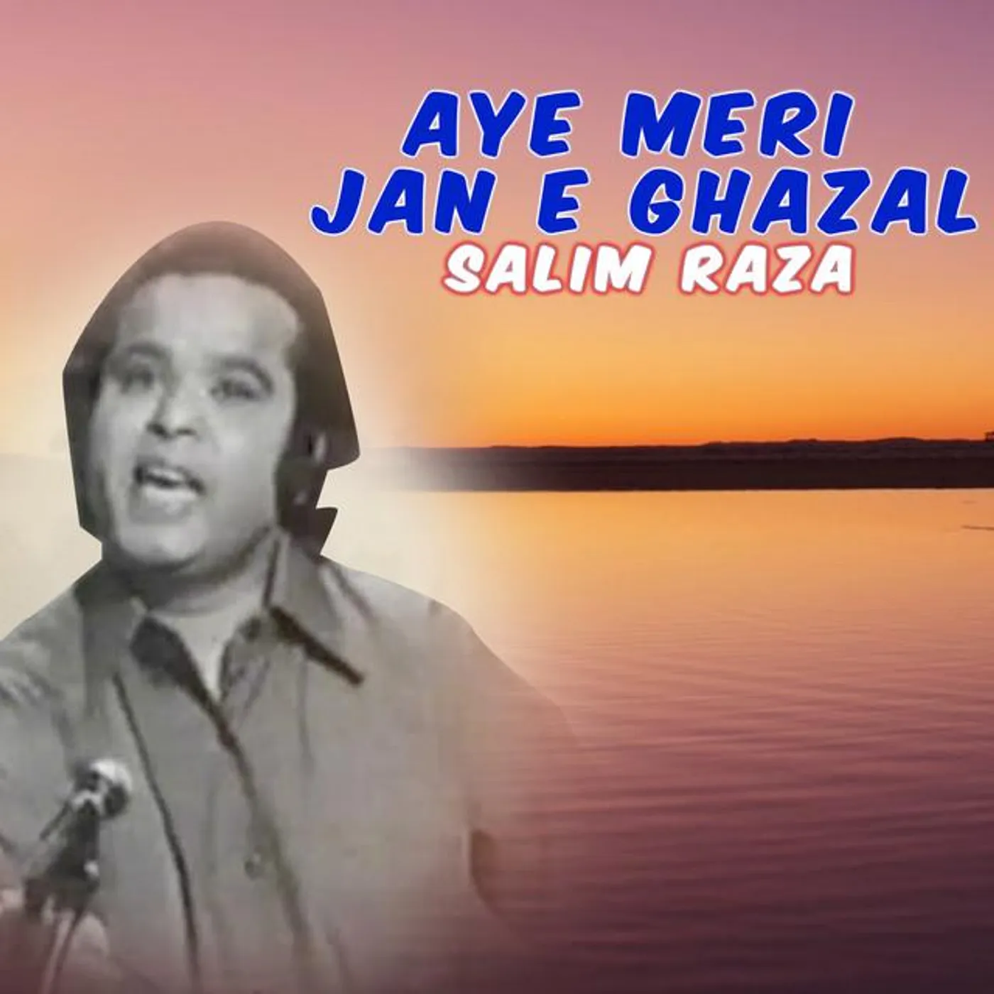 Salim Raza Brand Page