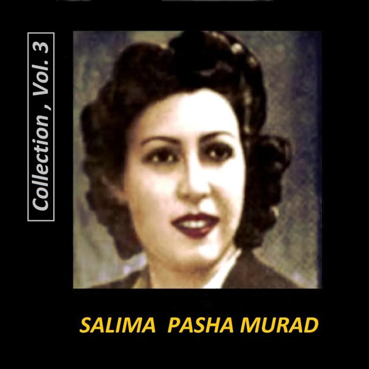 Salima Pasha Murad Brand Page
