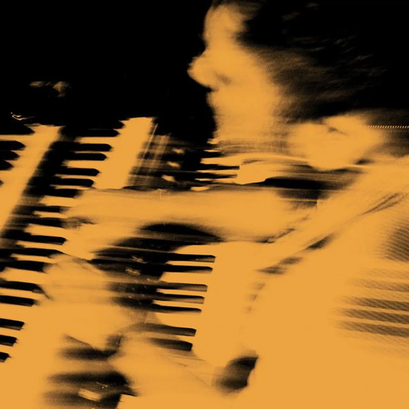 Sam Fribush Brand Page