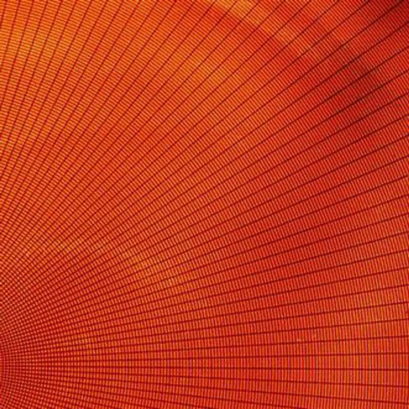 Sammy Burdson Brand Page