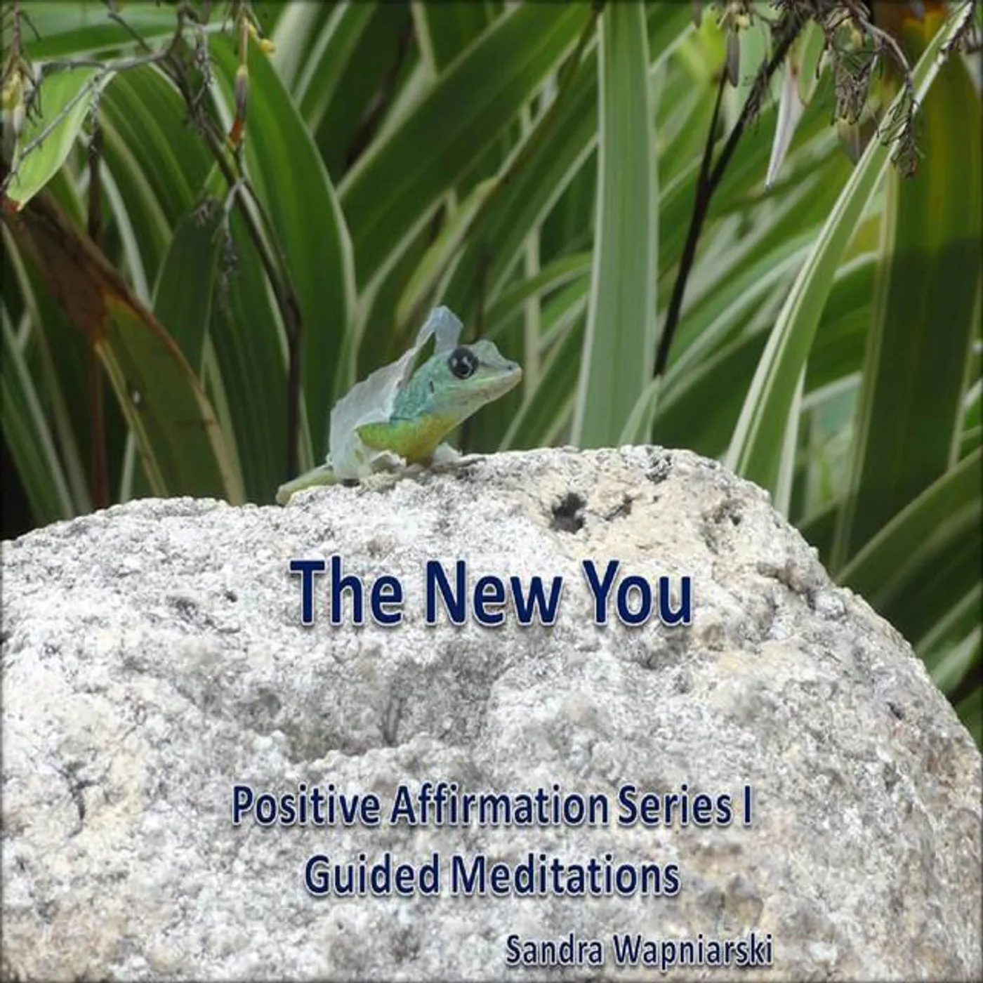 Sandra Wapniarski Brand Page