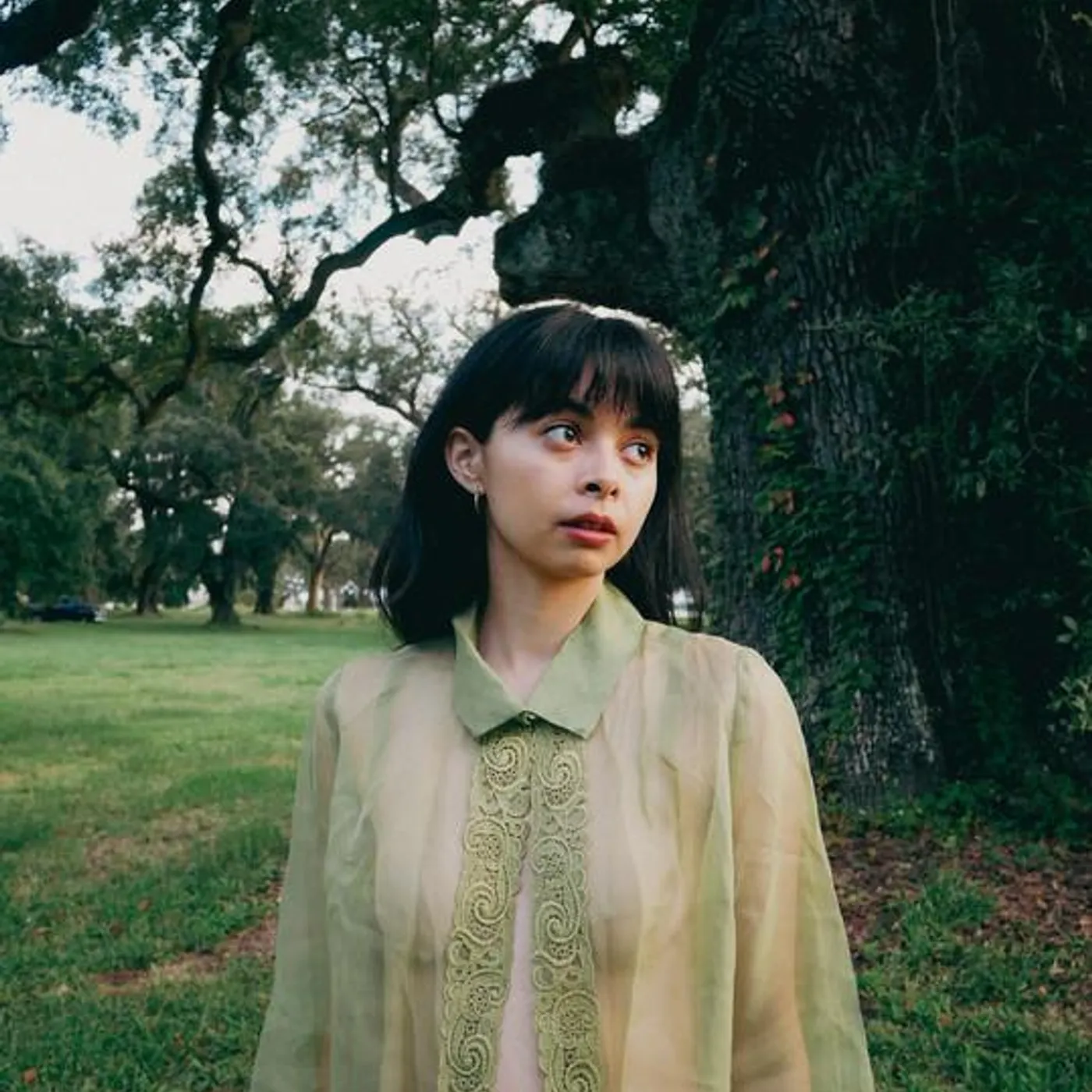 Schaefer Llana Brand Page