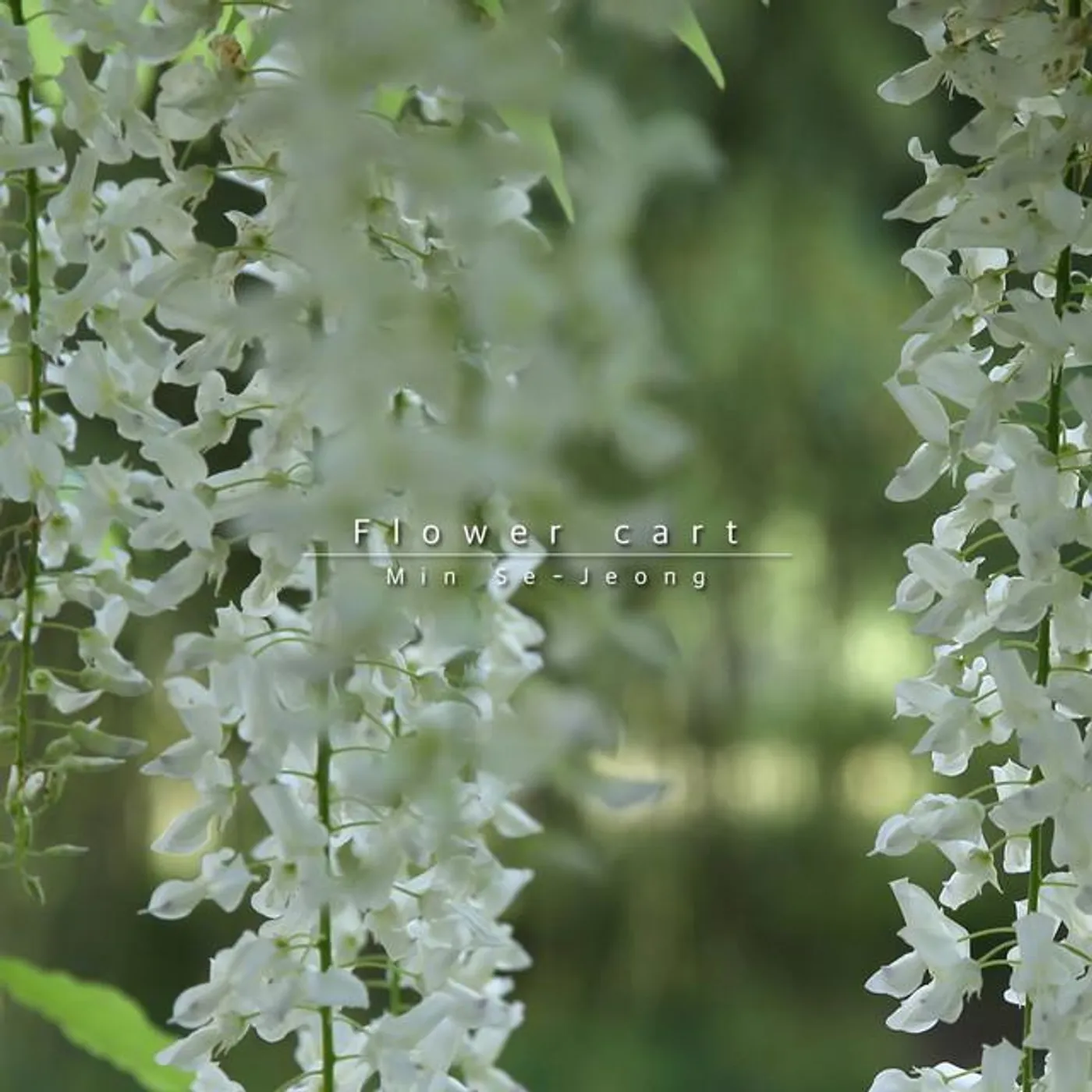 Se-jeong Min Brand Page