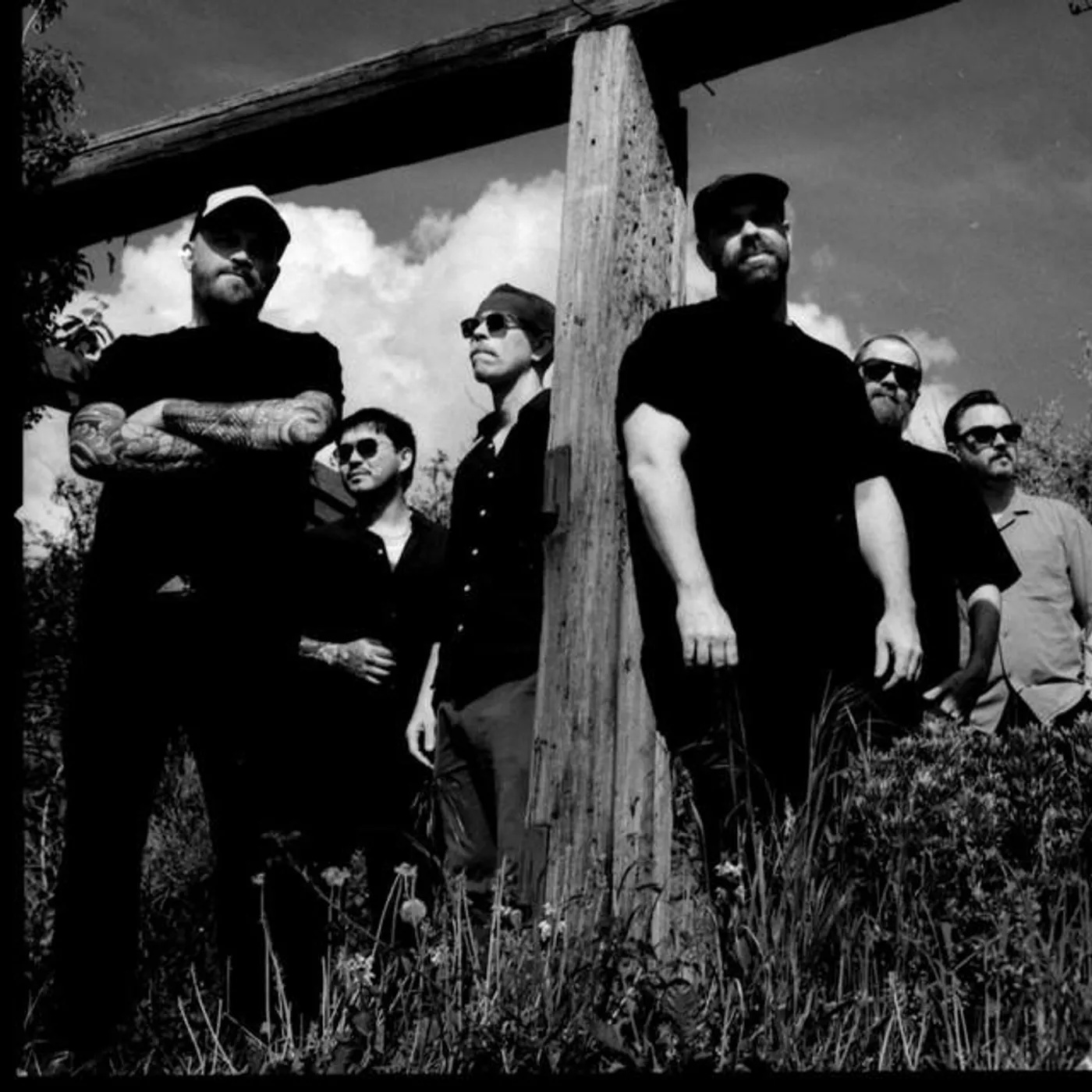 Sex Swing Brand Page