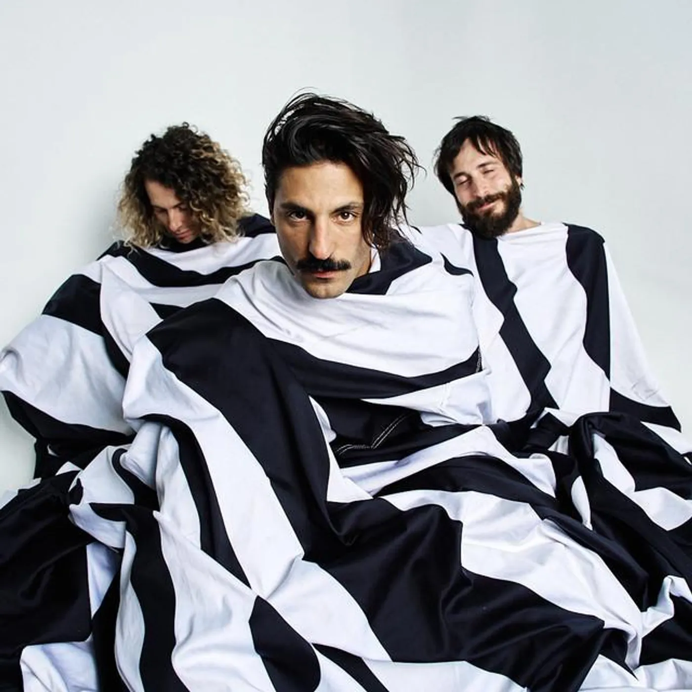 Sexy Zebras Brand Page