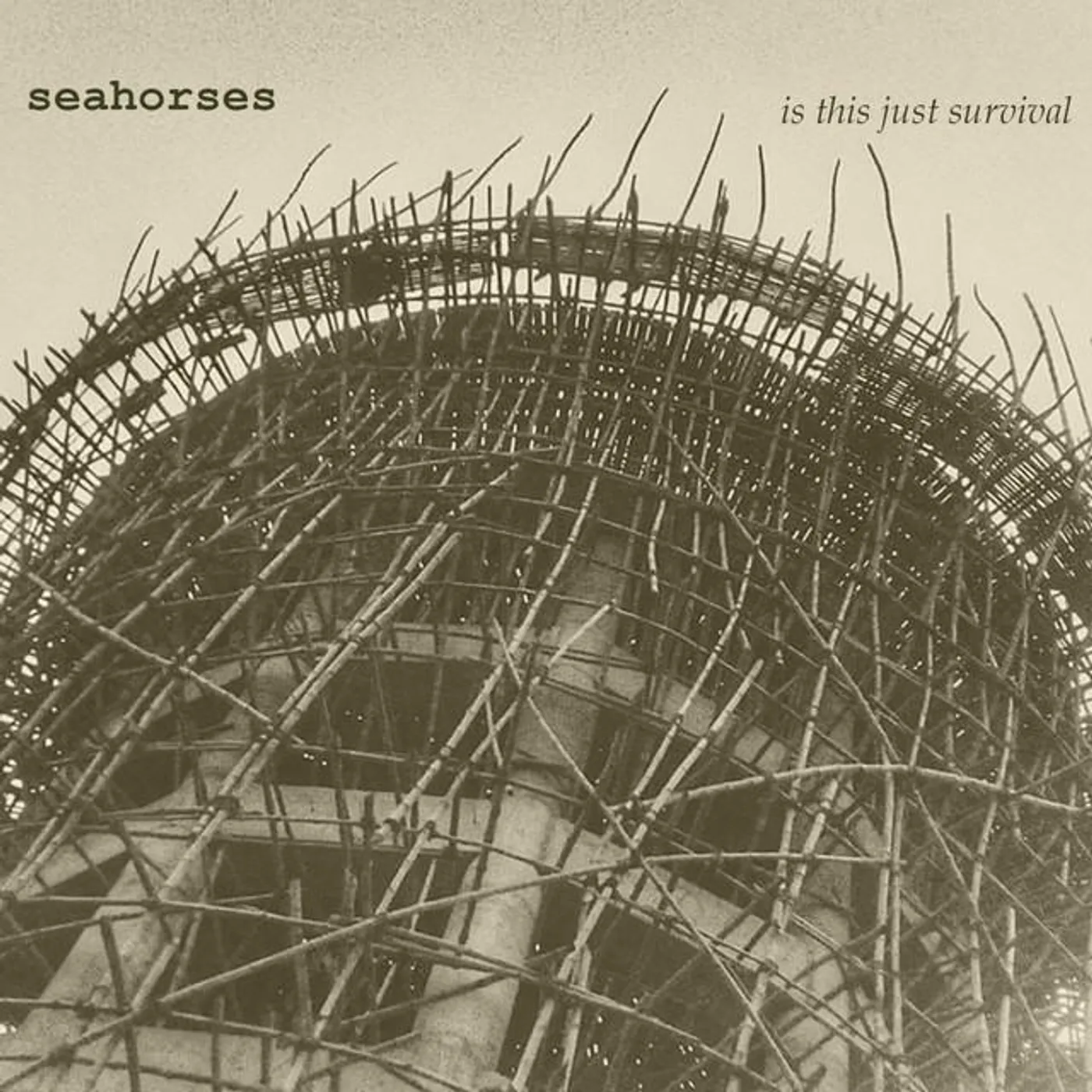 Seahorses Brand Page