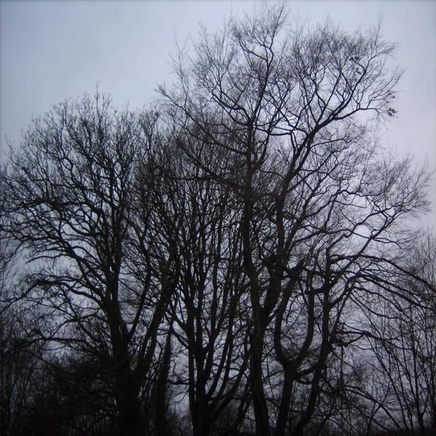 Seasons (pre-din) Brand Page